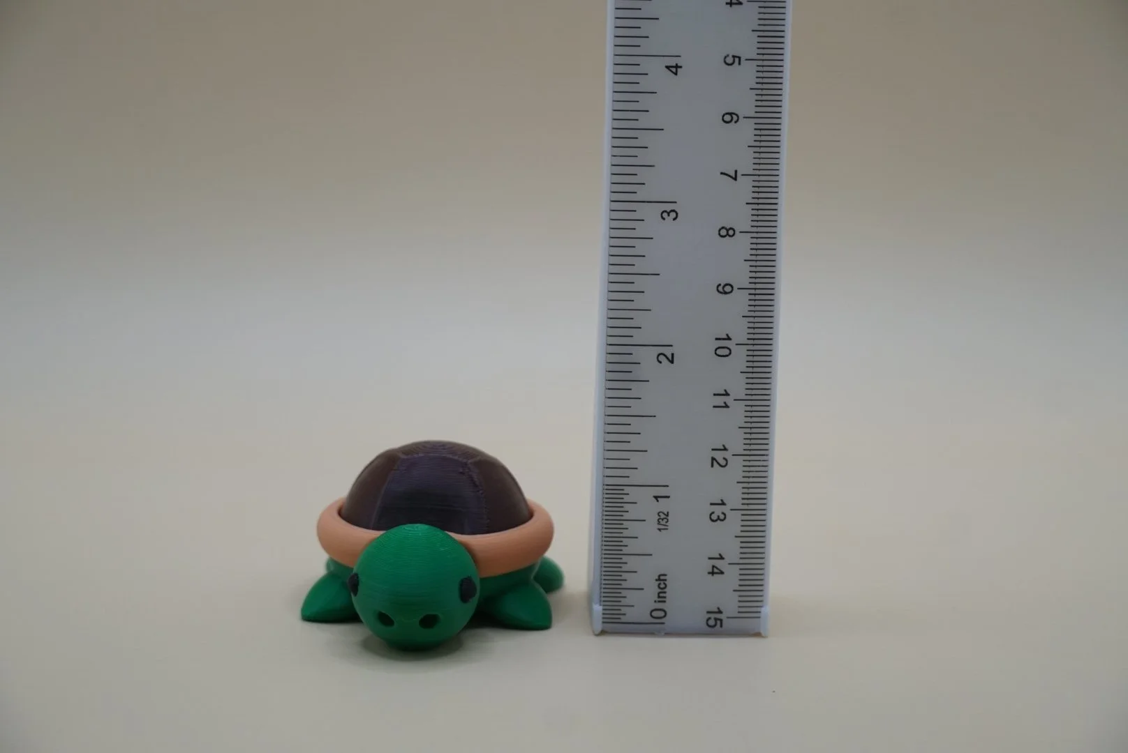 Turtle 3.JPG