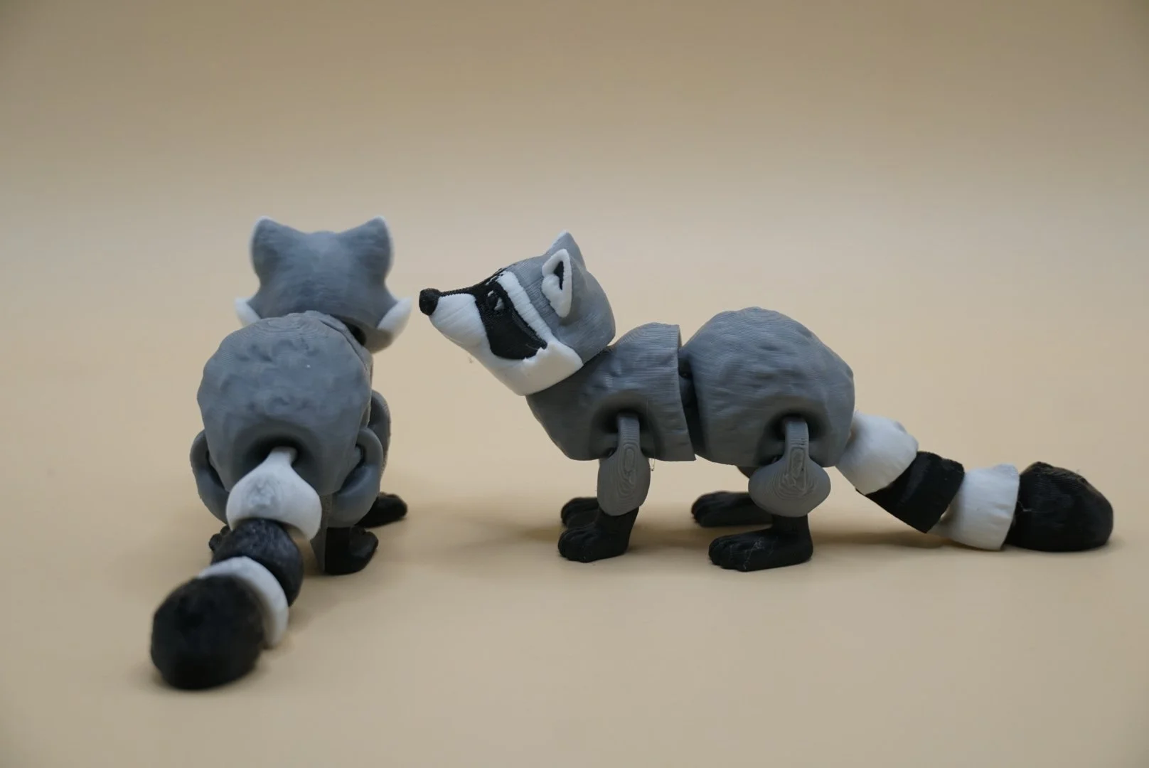 Racoon 2.JPG