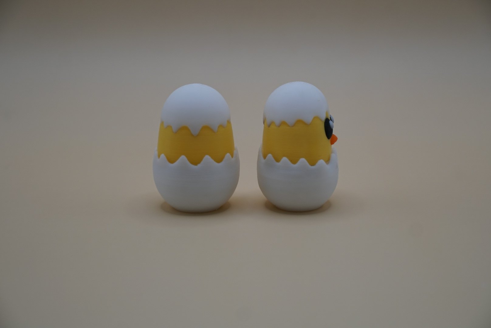 Chick in Egg 2.JPG
