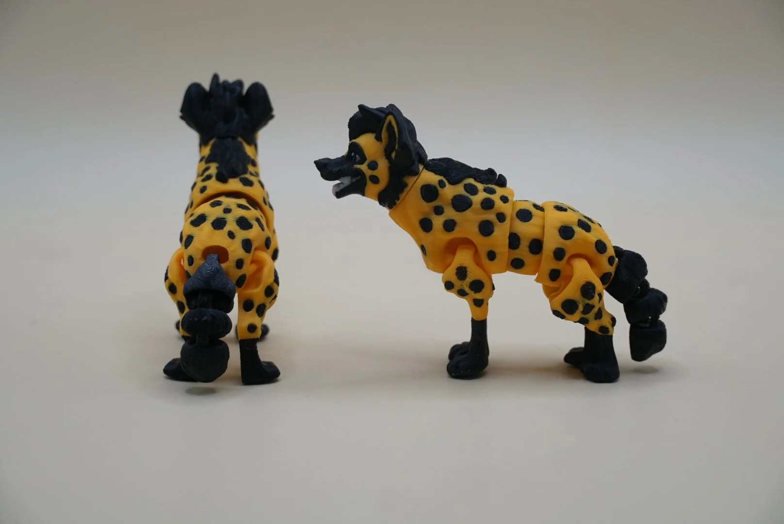 Hyena 2.JPG