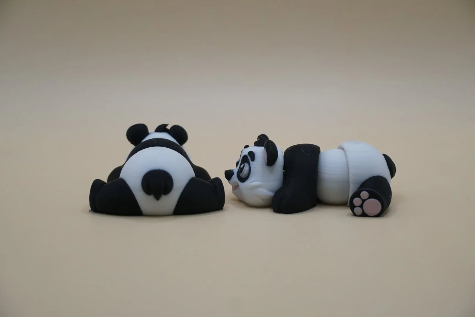 Panda (Laying Down) 2.JPG