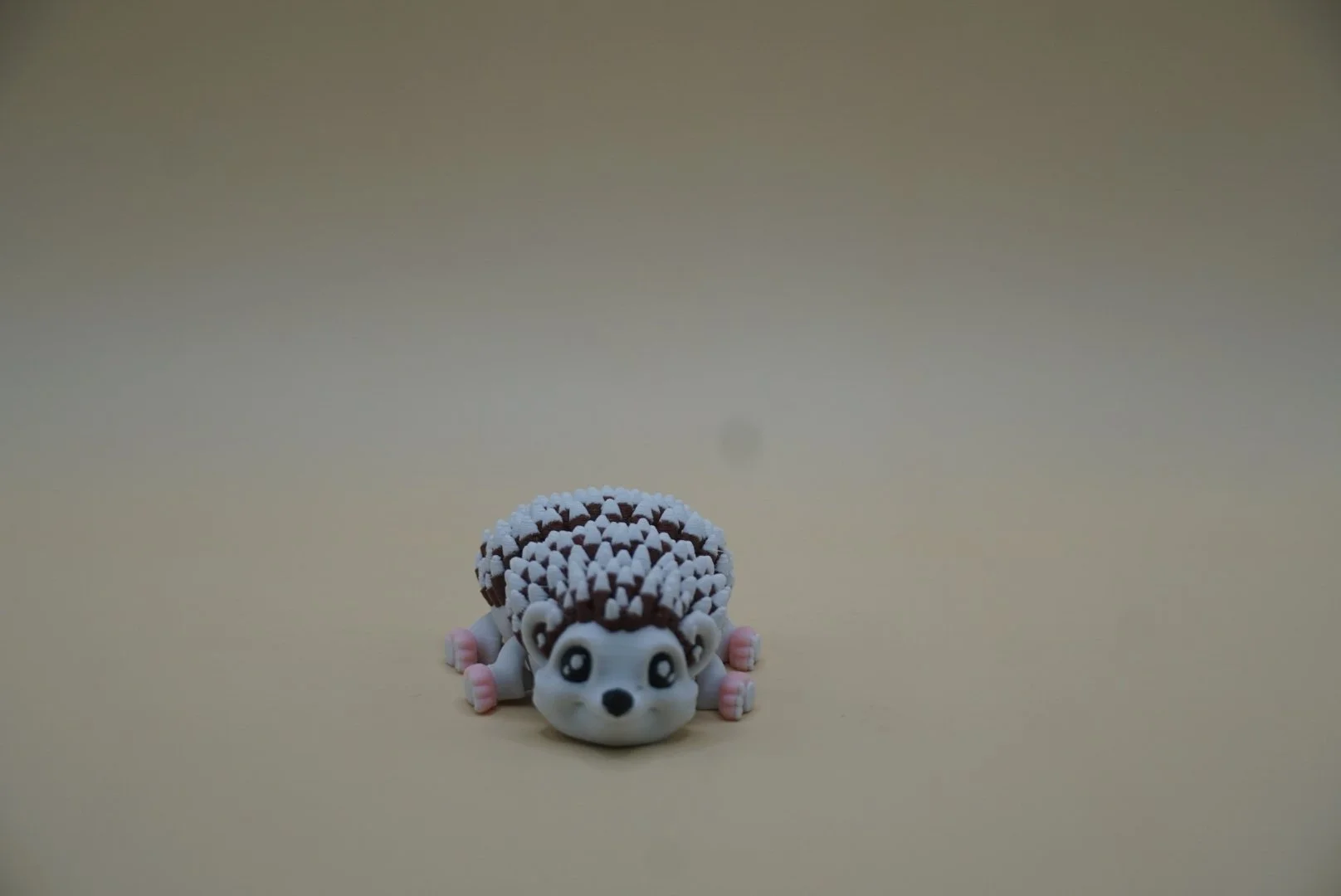Hedgehog 1.JPG
