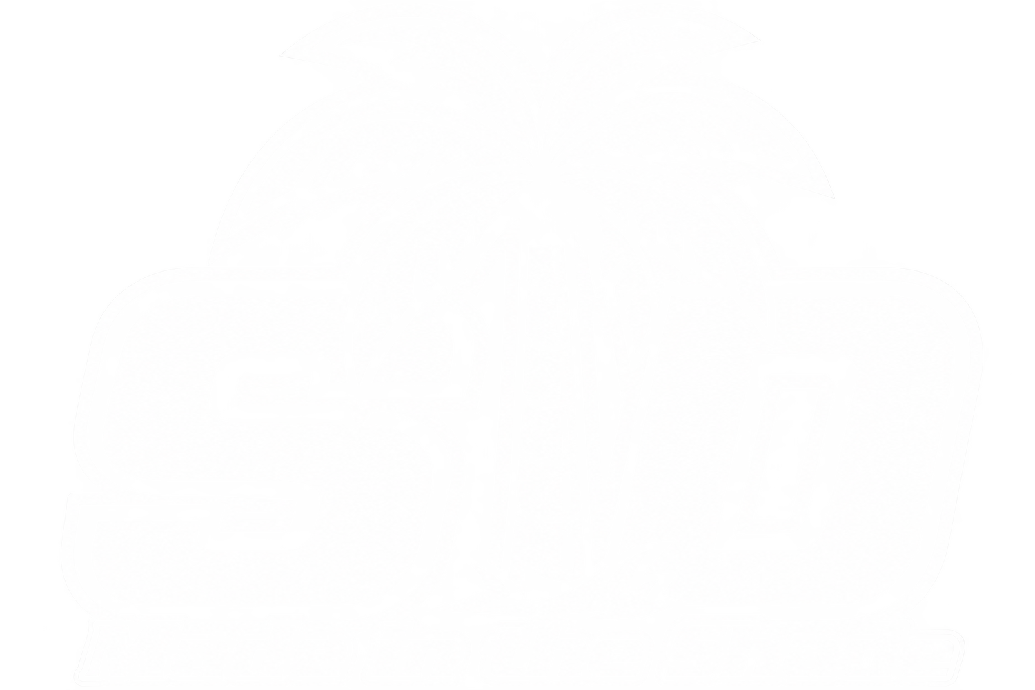Shade Tree Diesel