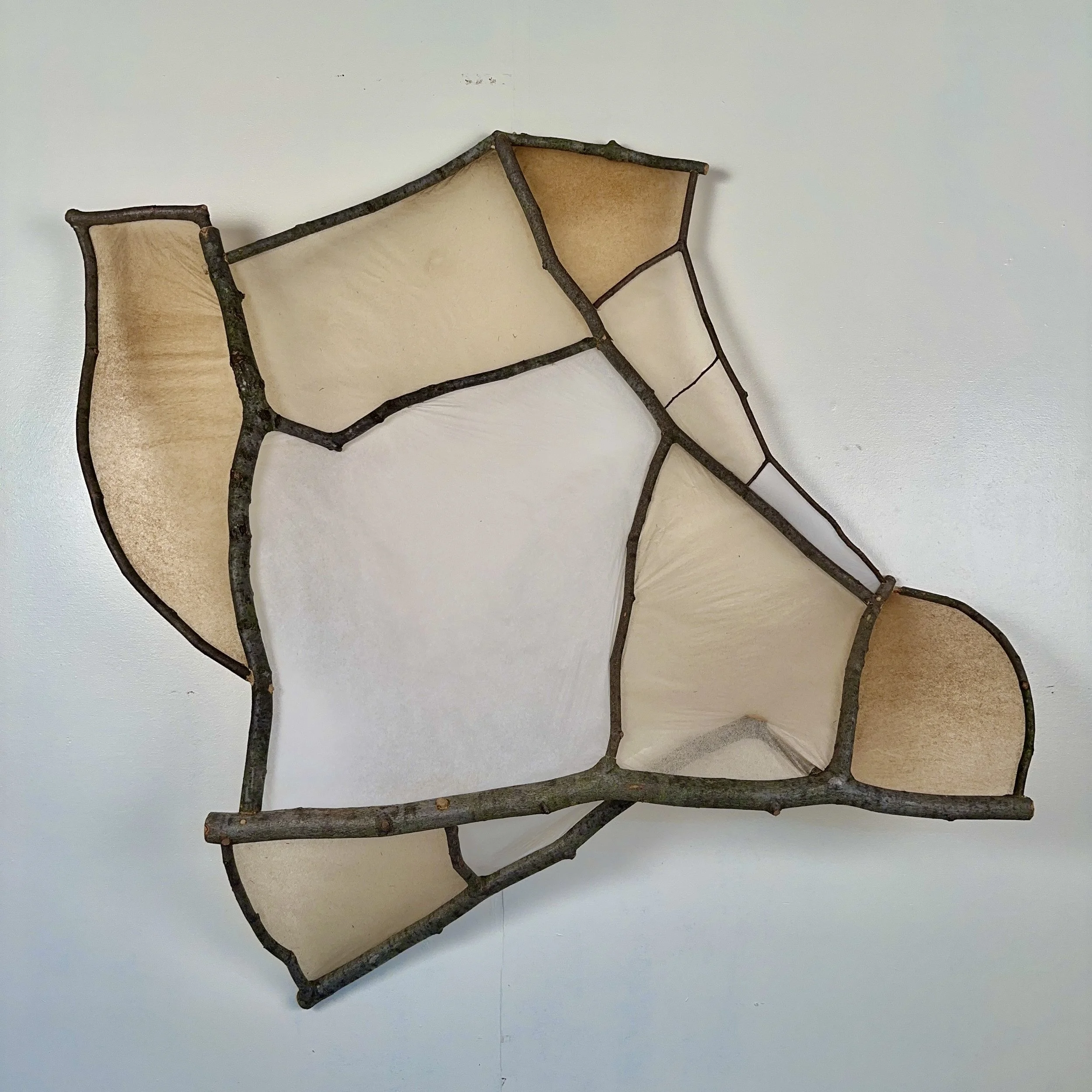 branch drawing 1