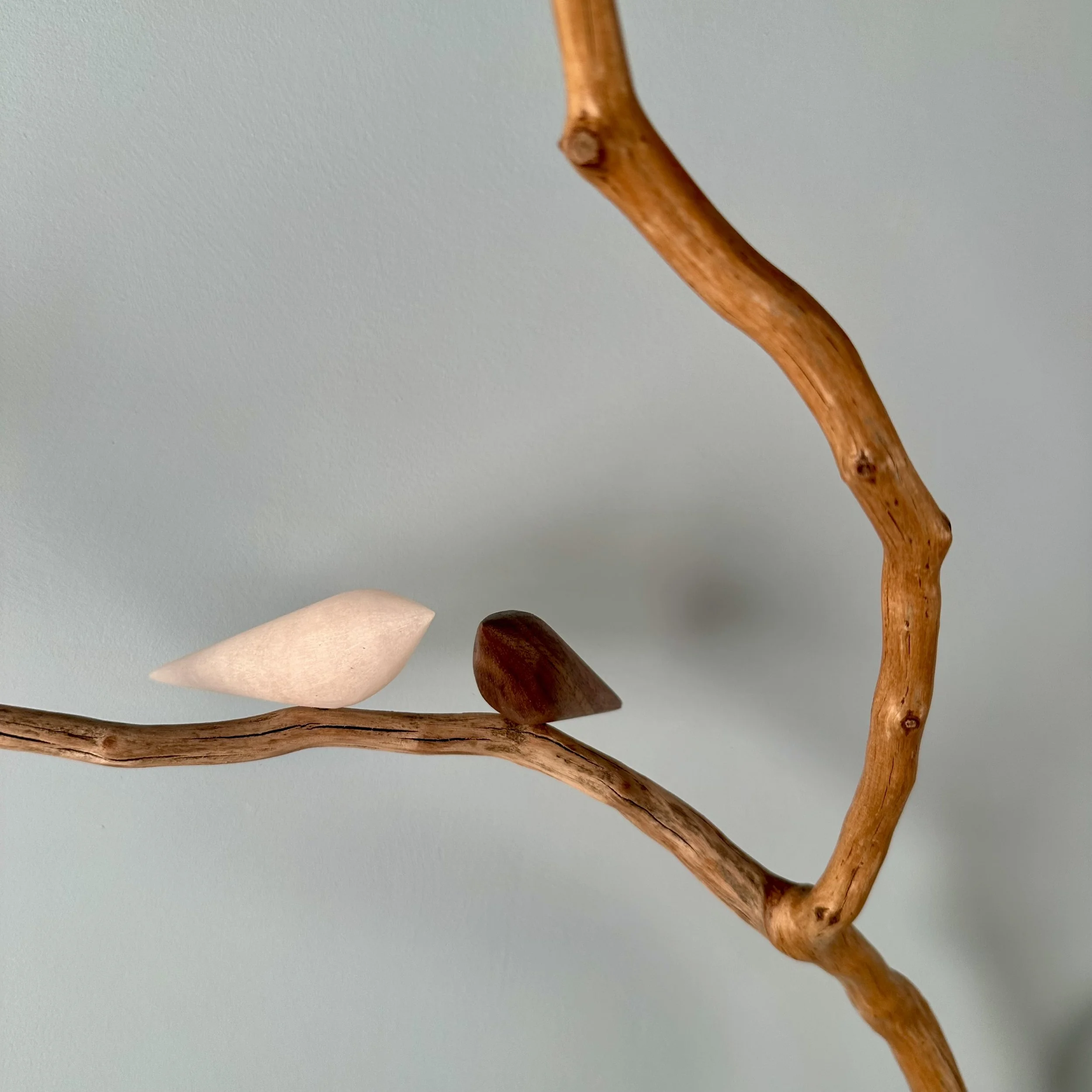 IMG_2760.jpeg