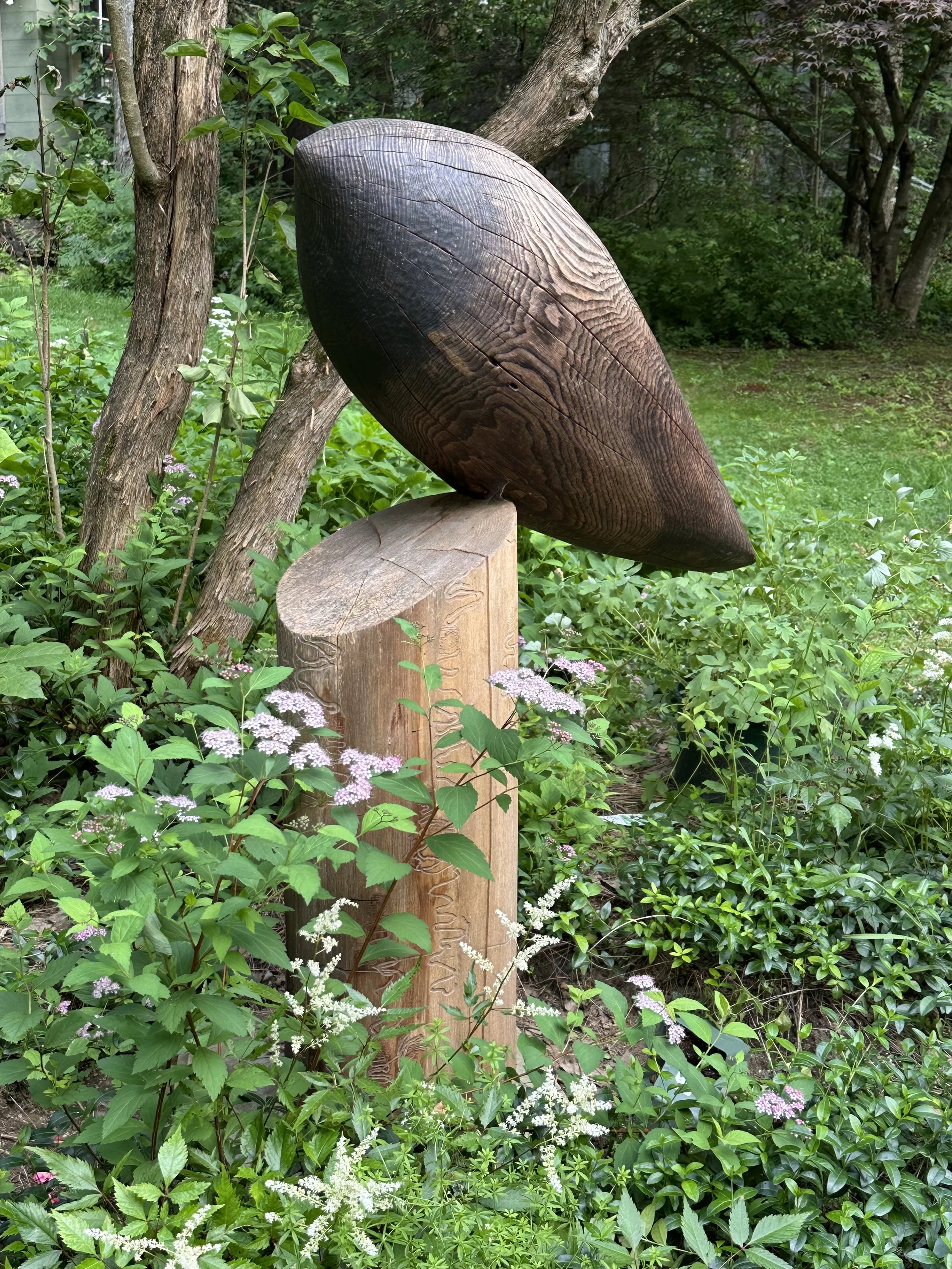 presence (large burnt bird)