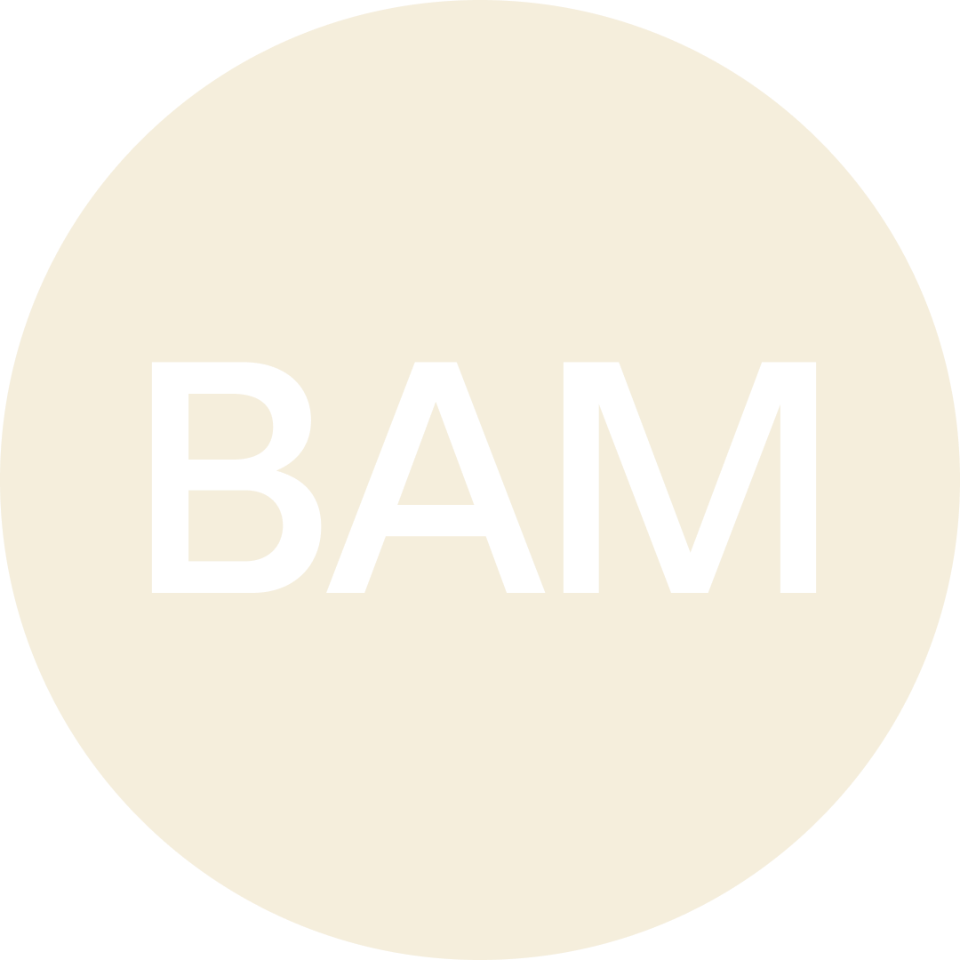 The BAM NA Conference