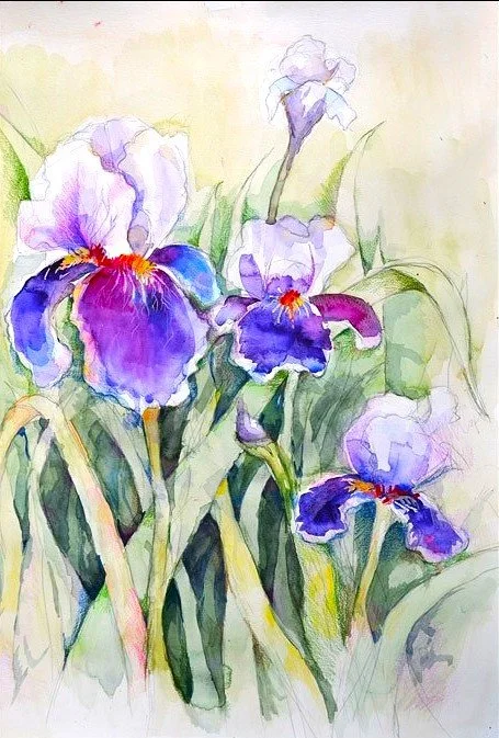 Student 13, watercolor