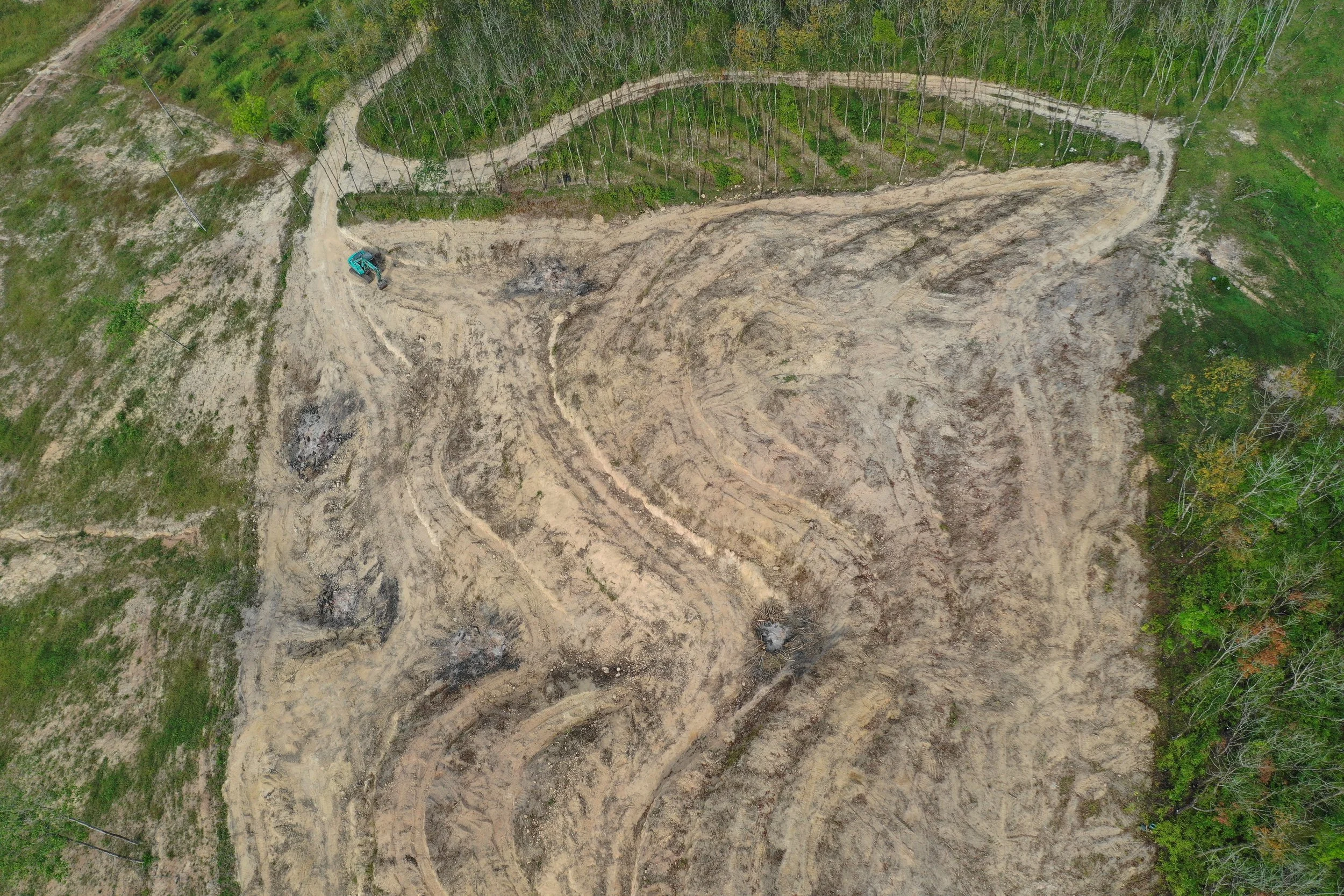Land Clearing 1
