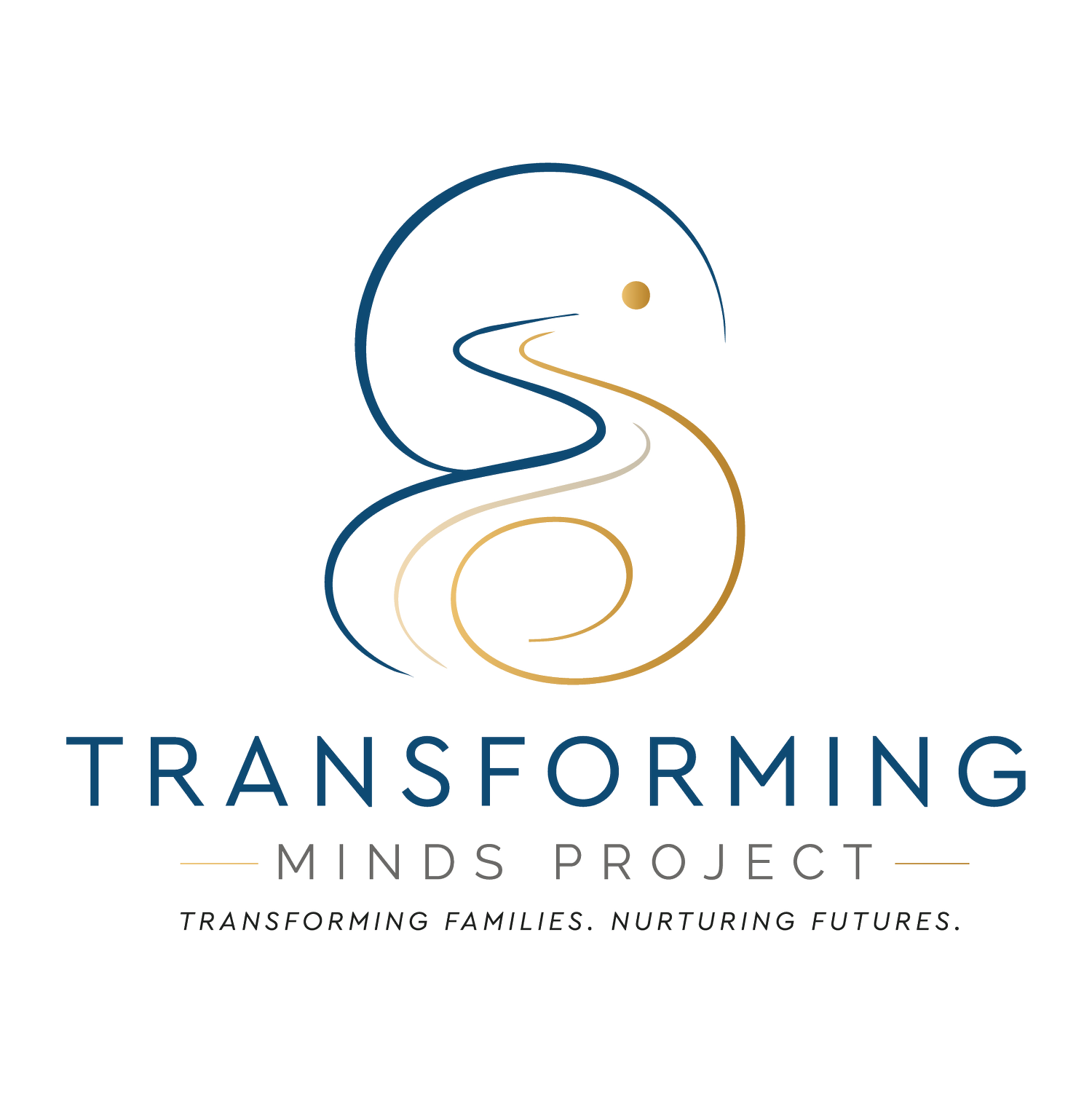 Transforming Minds Project (Copy)