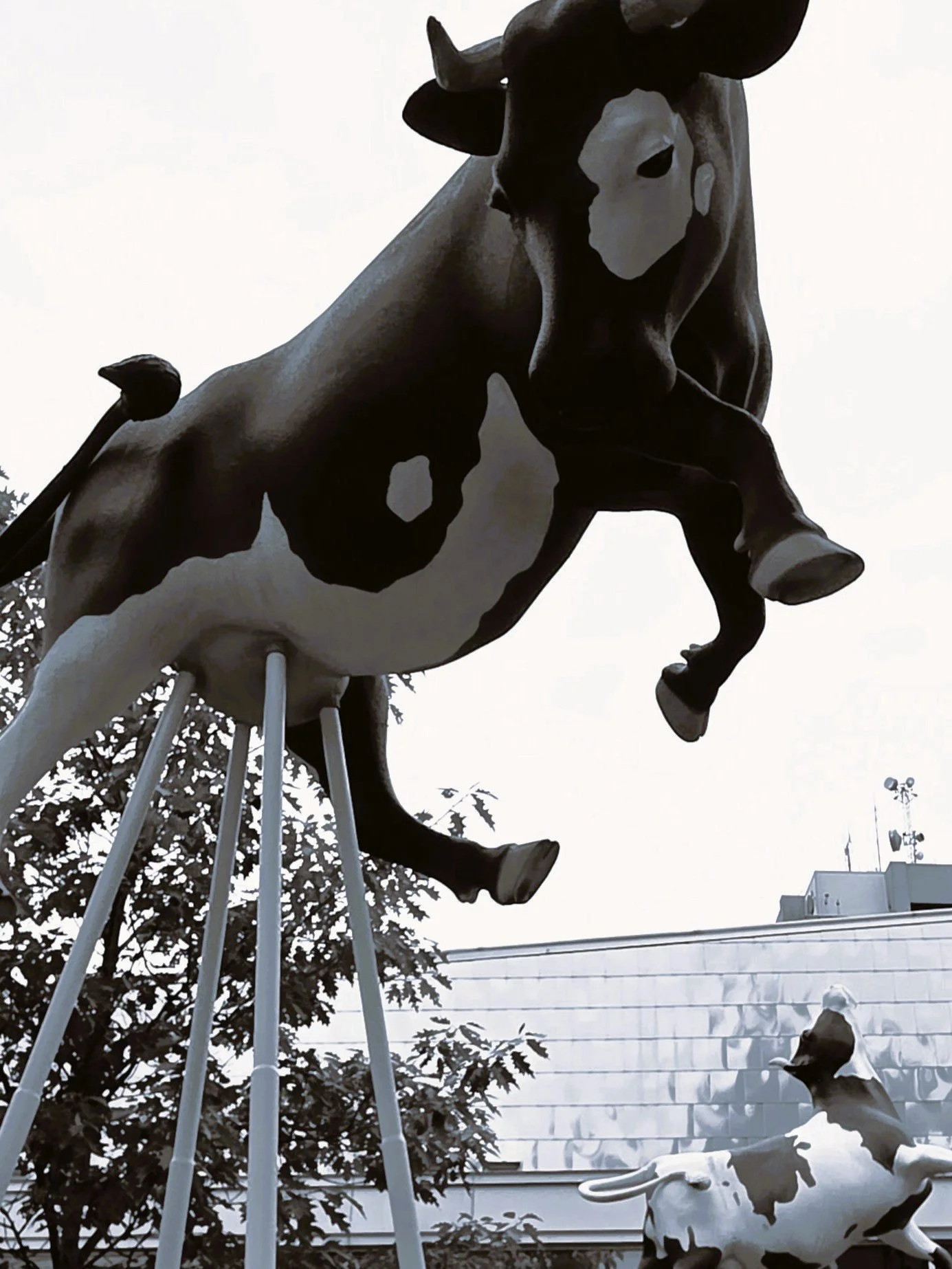 Stampede  