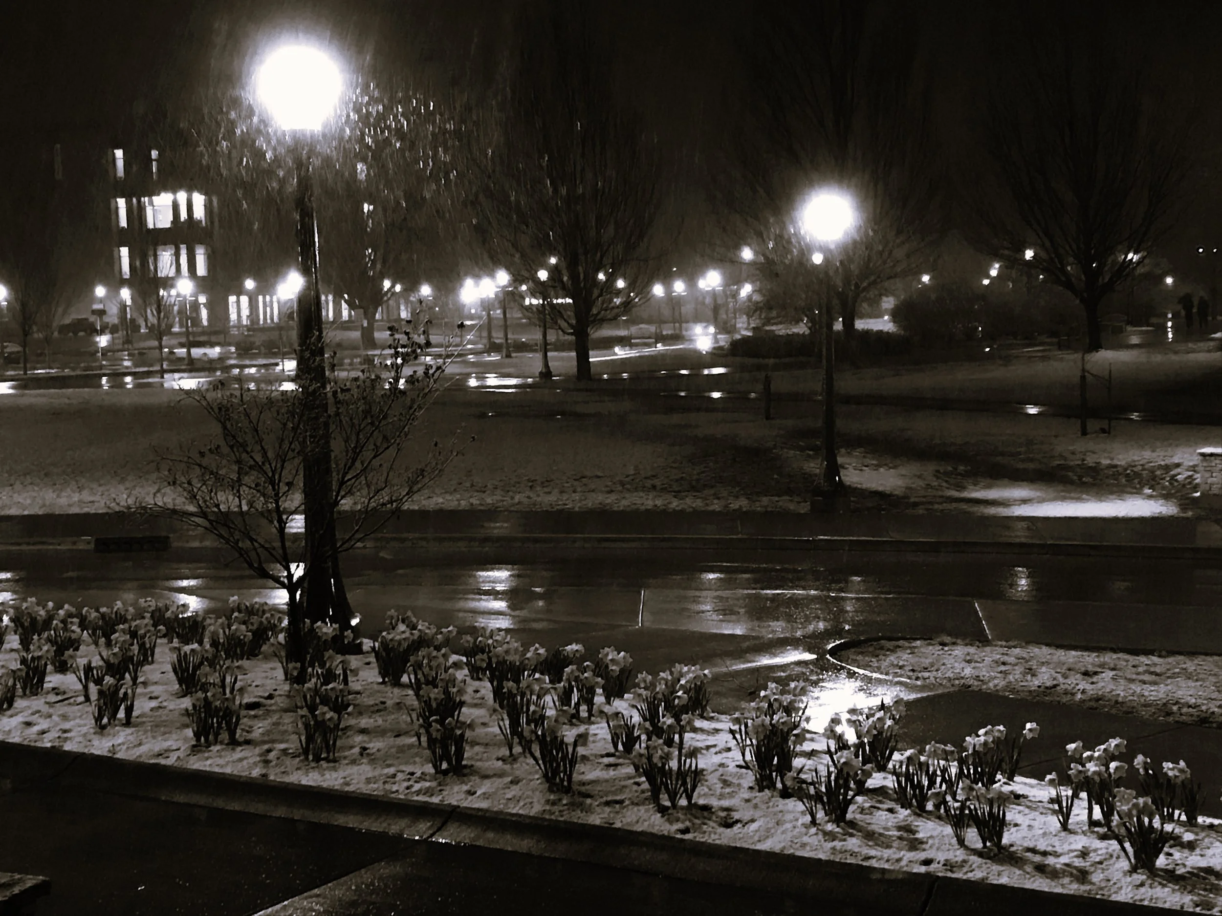 Forgetful Winter   