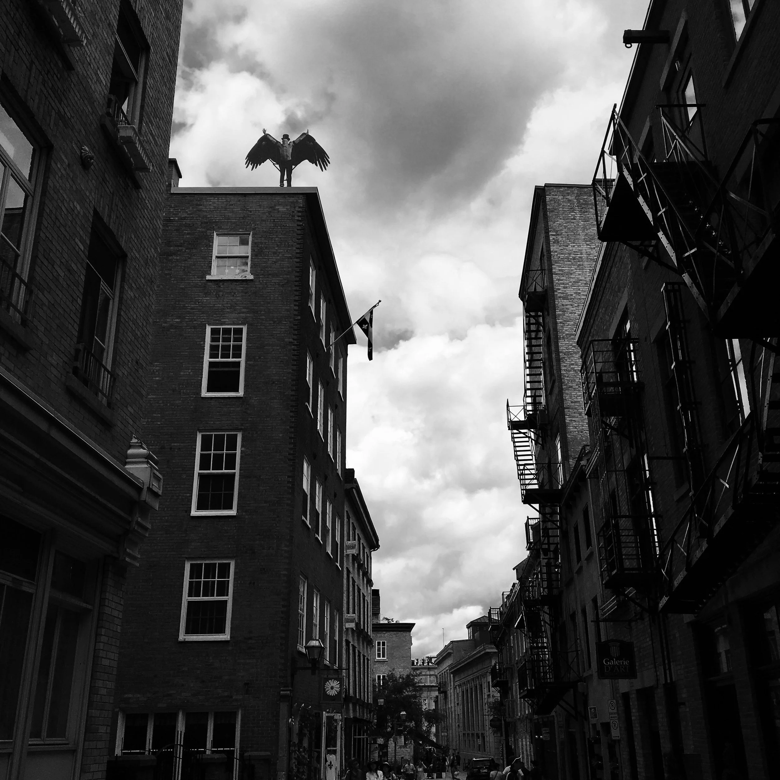 Birdman, QC  