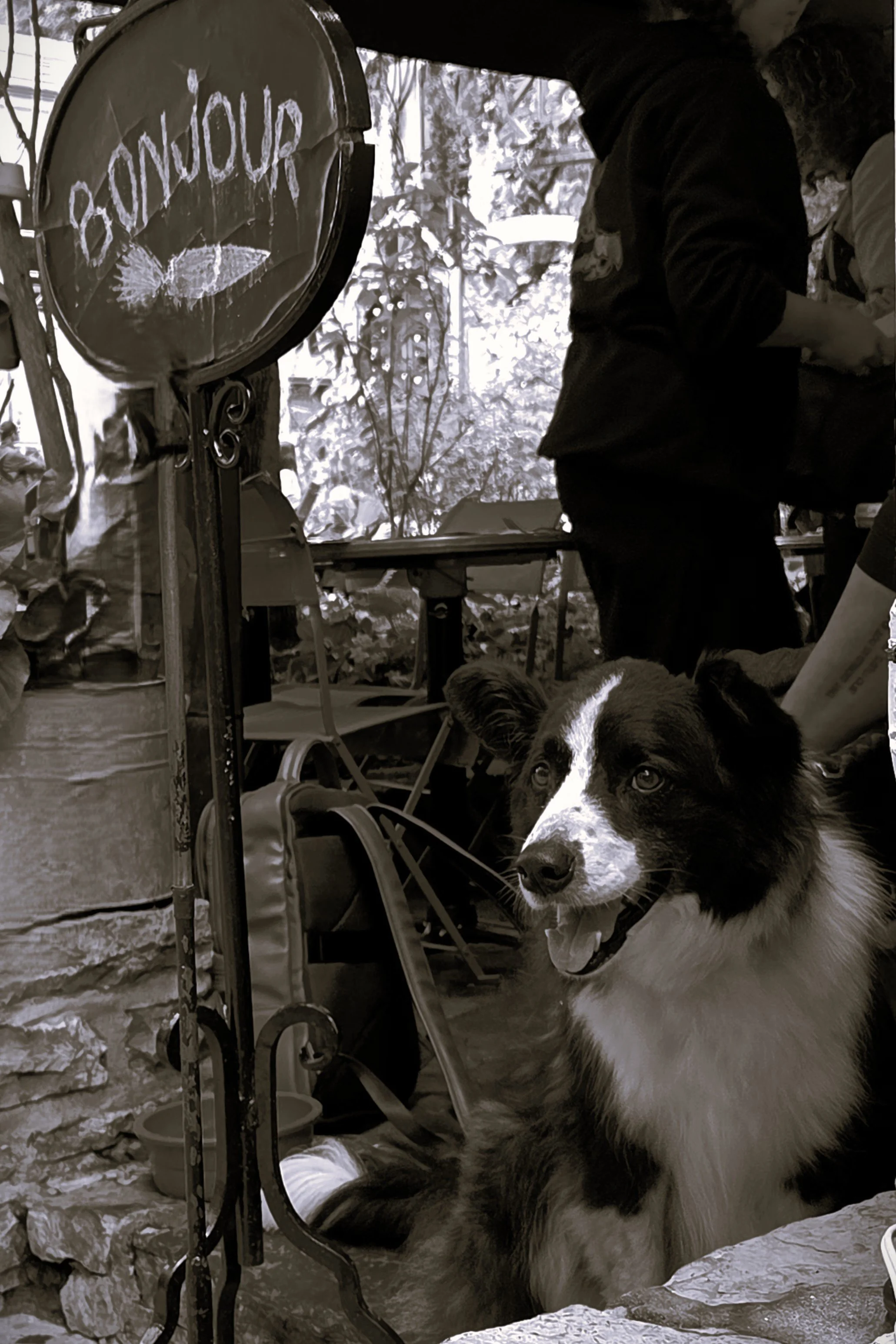 Waiting at the Lapin Sauté  