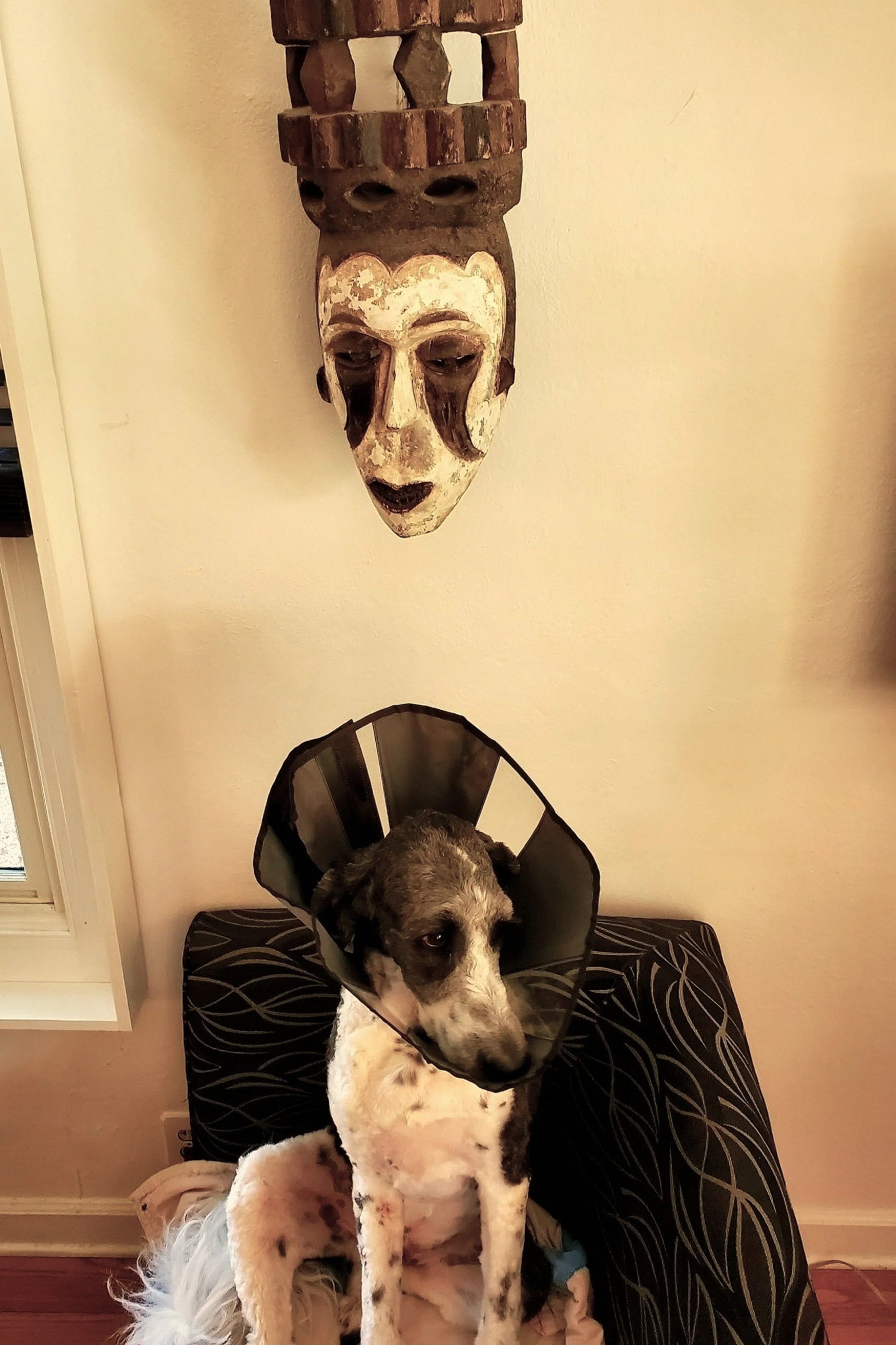 Walt's Mask