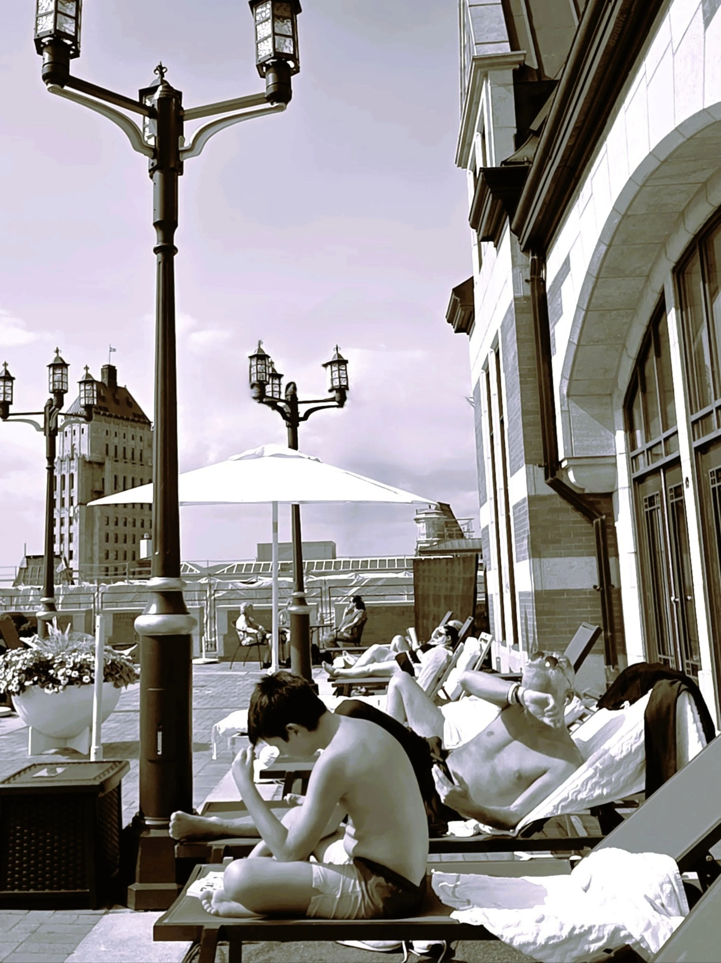 The Terrace  