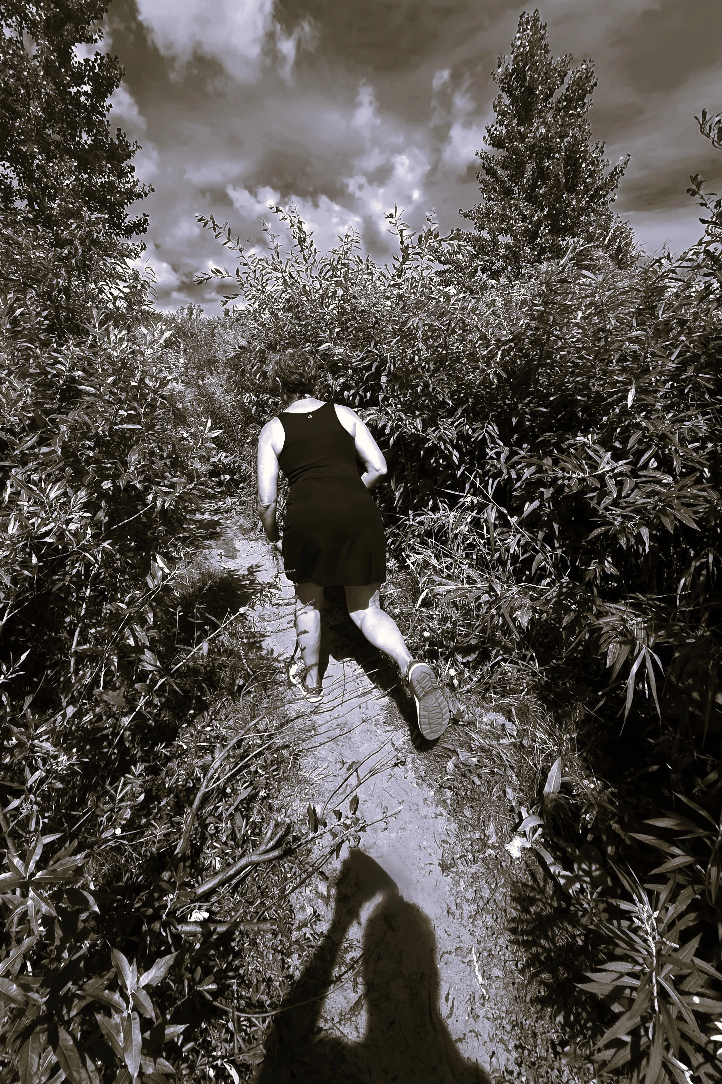The Hunt   