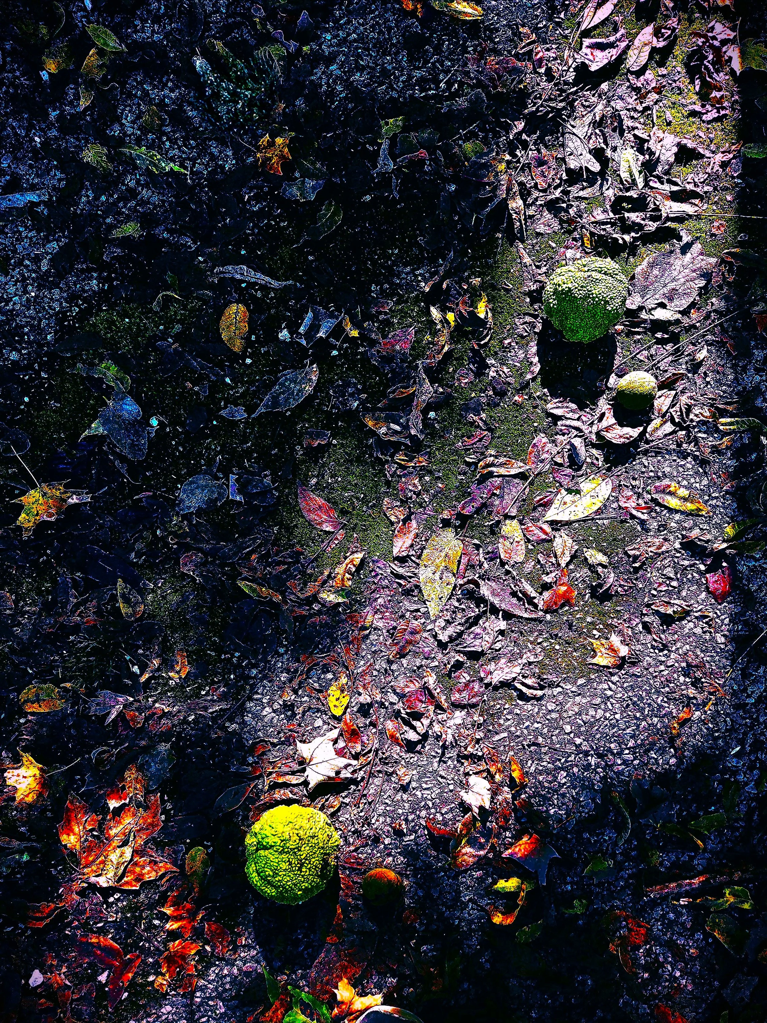 Cosmic Autumn.jpg