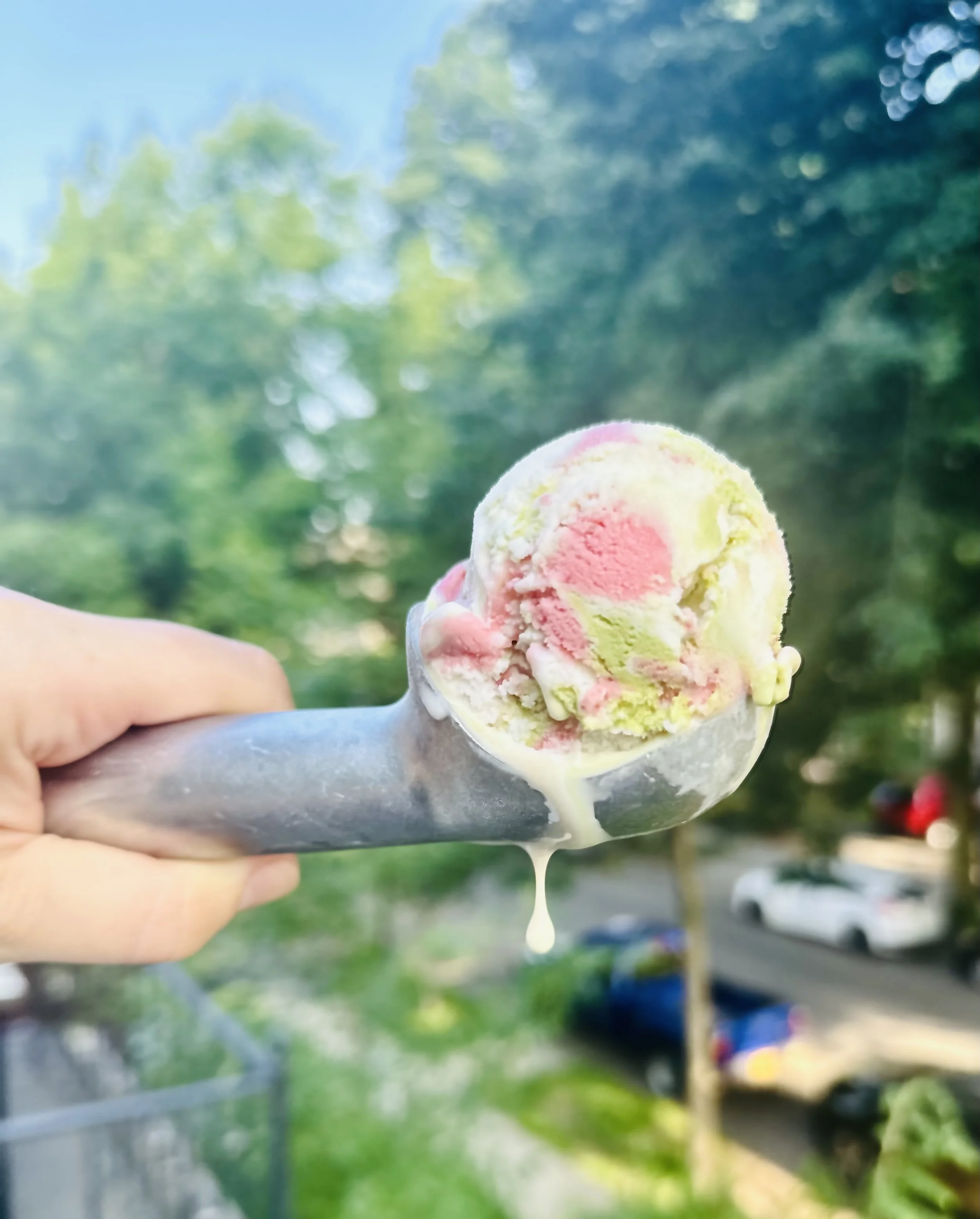 matcha, local strawberry, chocolate mint neapolitan ice cream
