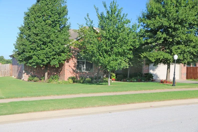 Lot 79