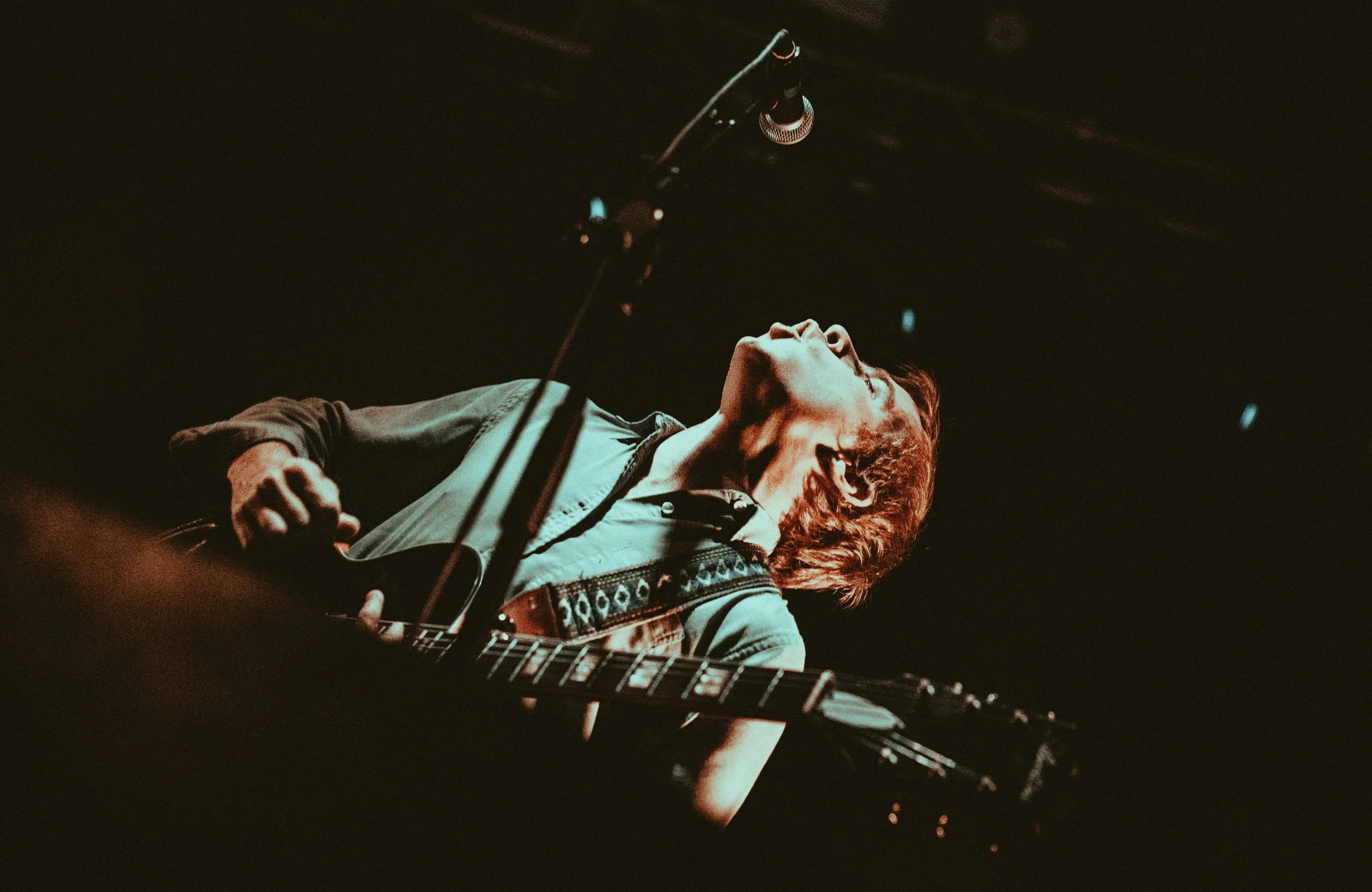 6-DrDog-@CalQuinn.jpg
