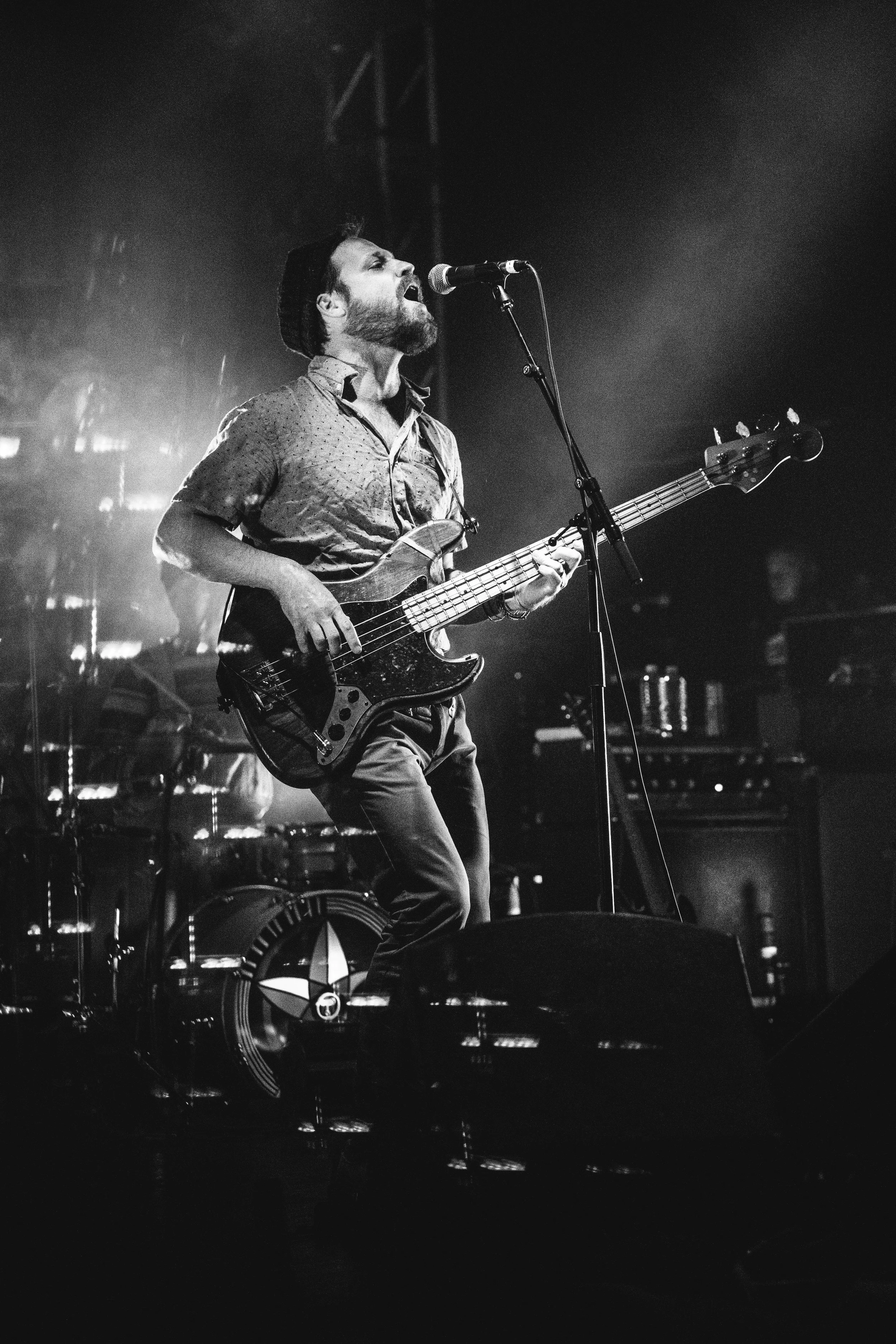 9-DrDog-@CalQuinn.jpg