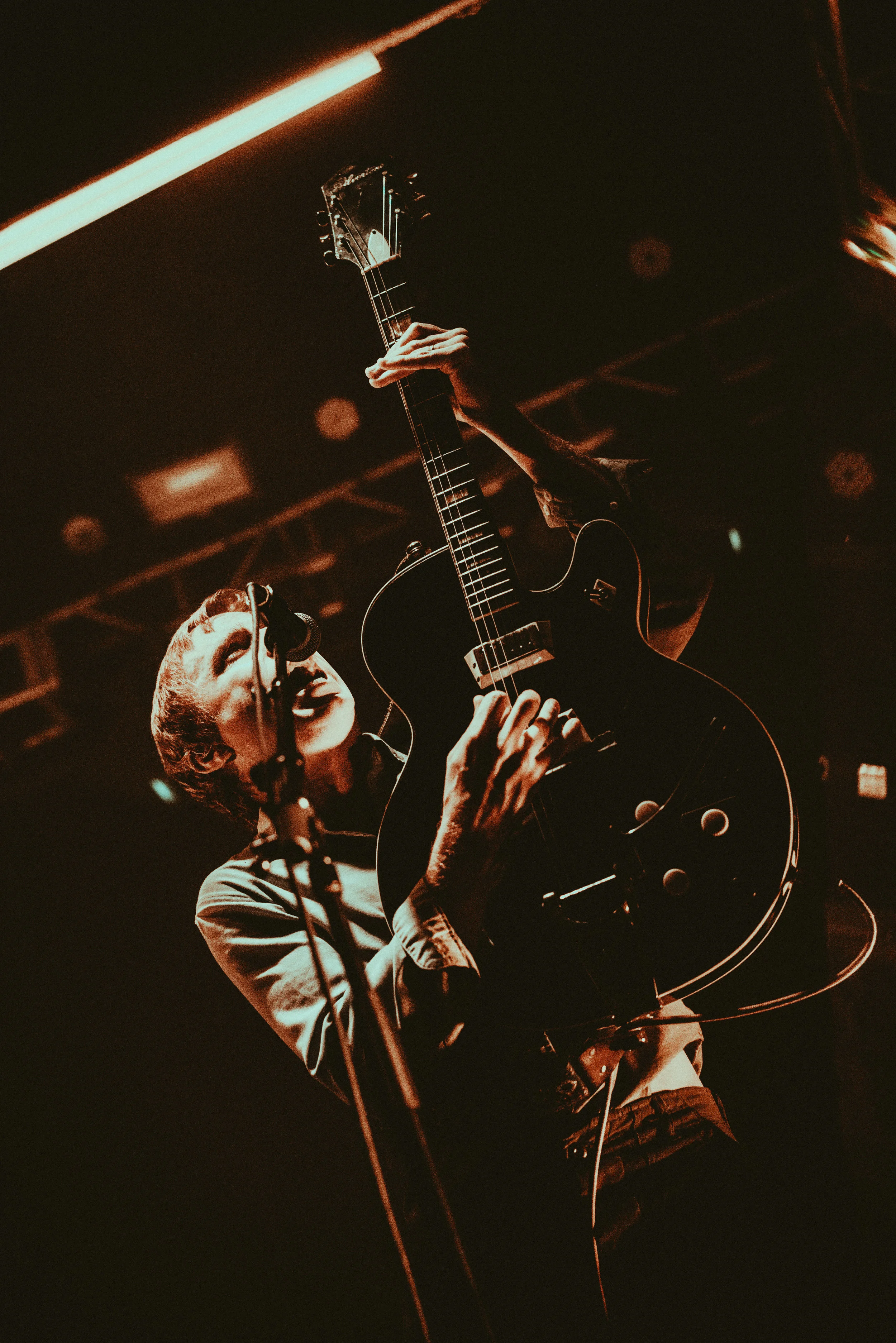 59-DrDog-@CalQuinn.jpg