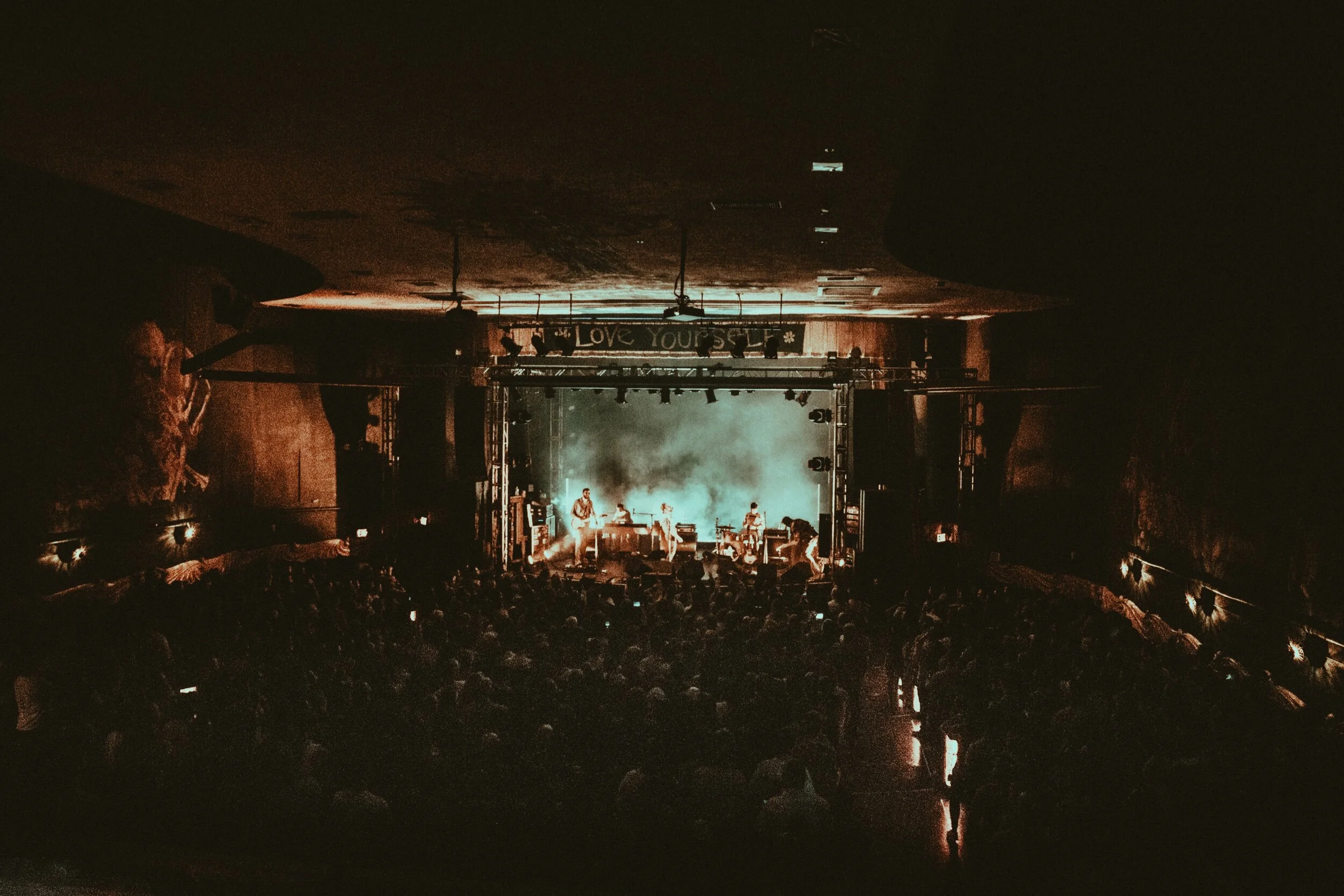 15-drdog-@calquinn.jpeg