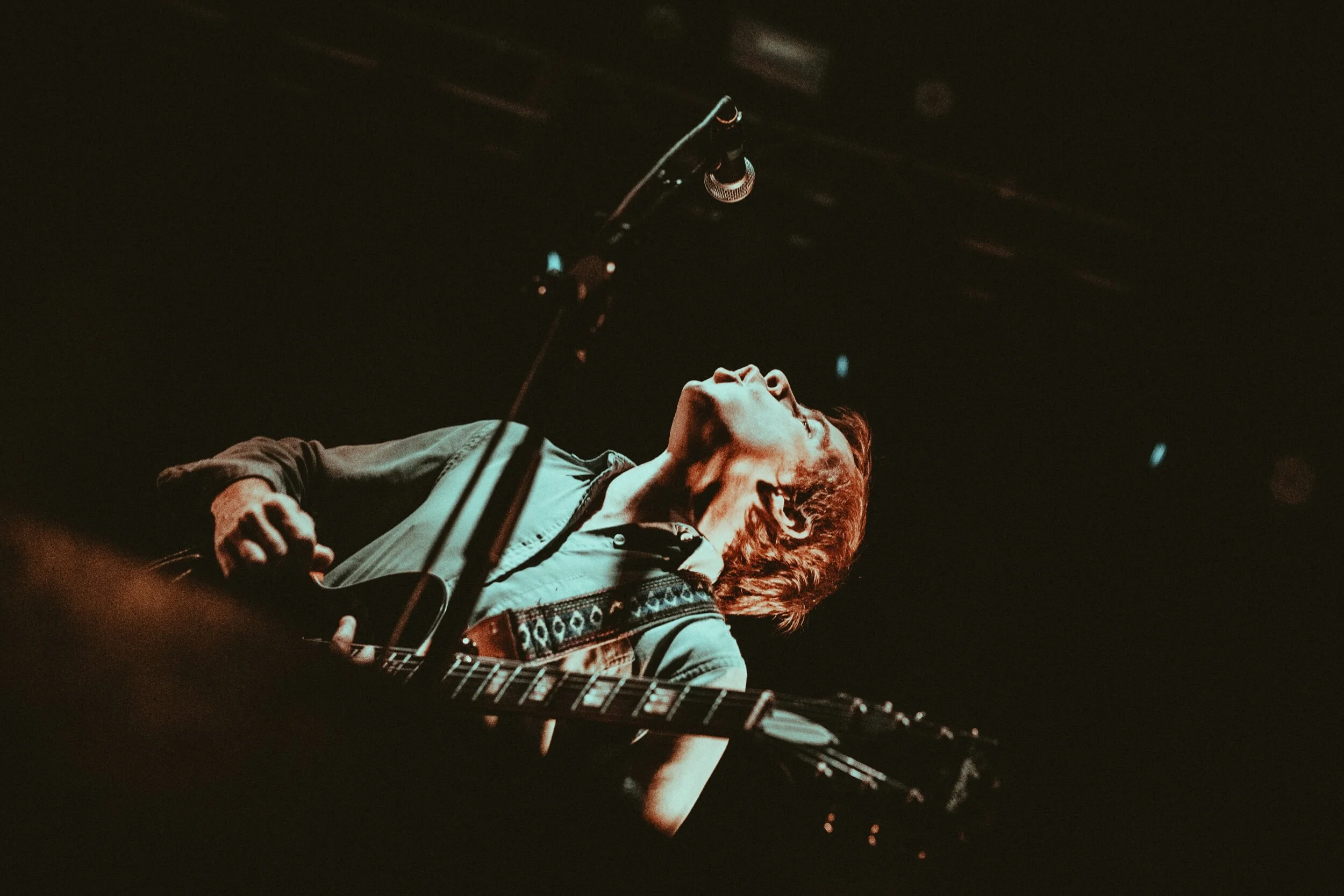 6-drdog-@calquinn.jpeg