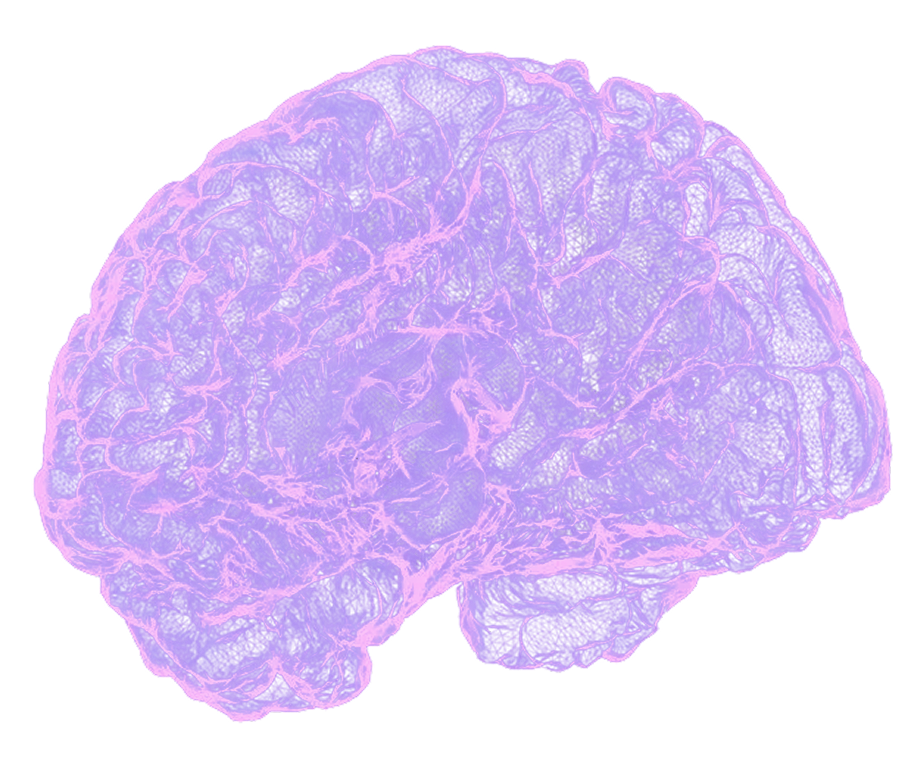 A digitally enhanced image of a human brain with glowing purple neural pathways against a black background.