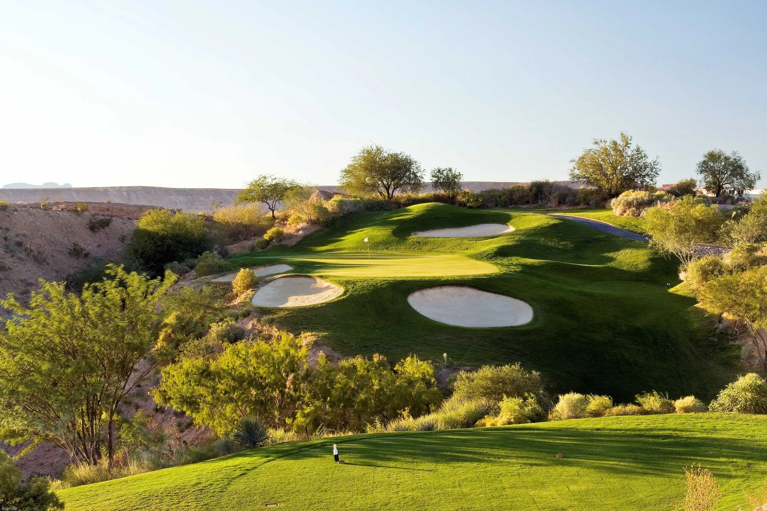 Mesquite.Oasis_Palmer_7.jpg