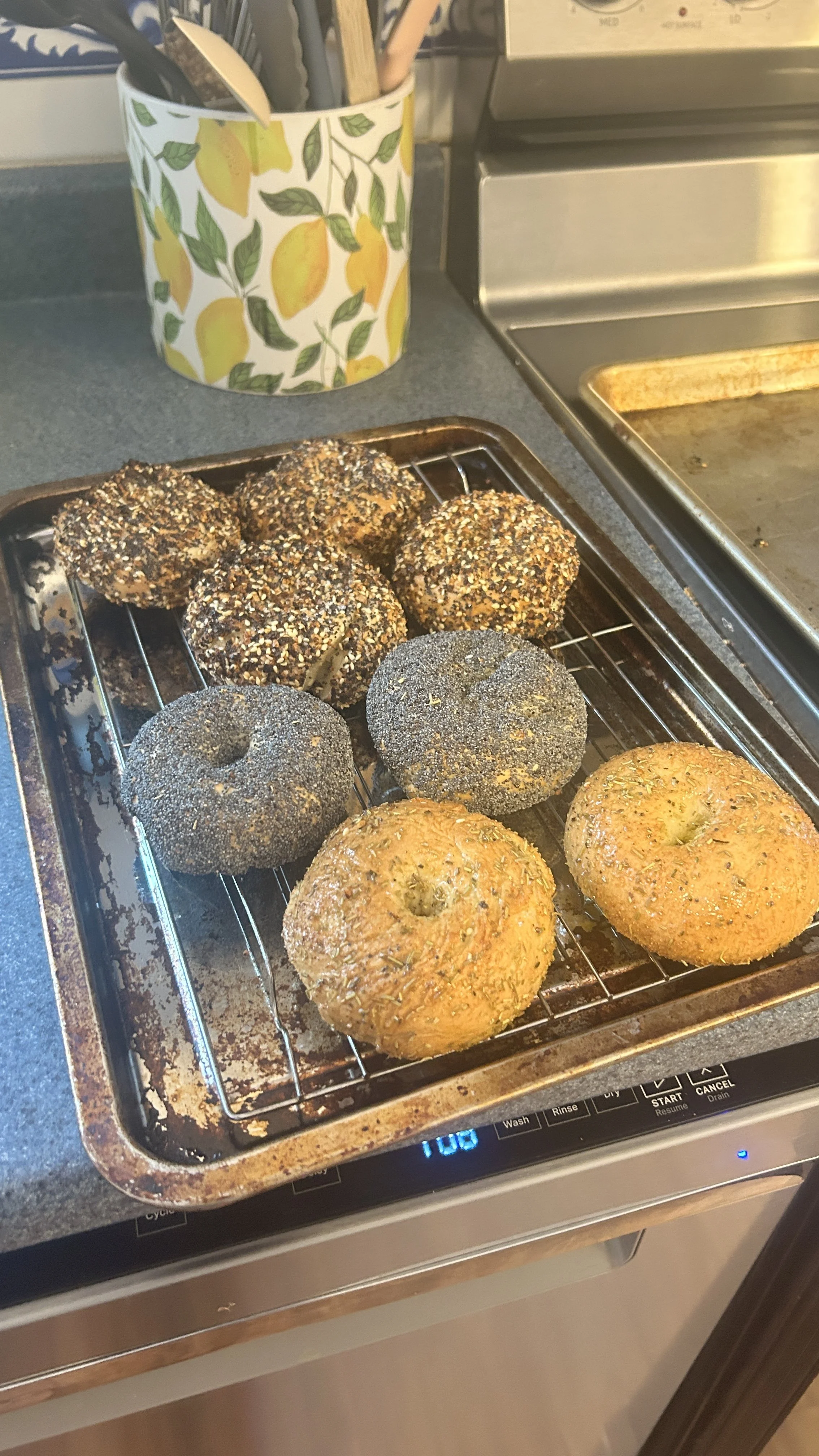 Six bagels on a metal rack inside a toaster oven, with three topped with poppy seeds and three covered in sesame seeds and spices, on a kitchen countertop.