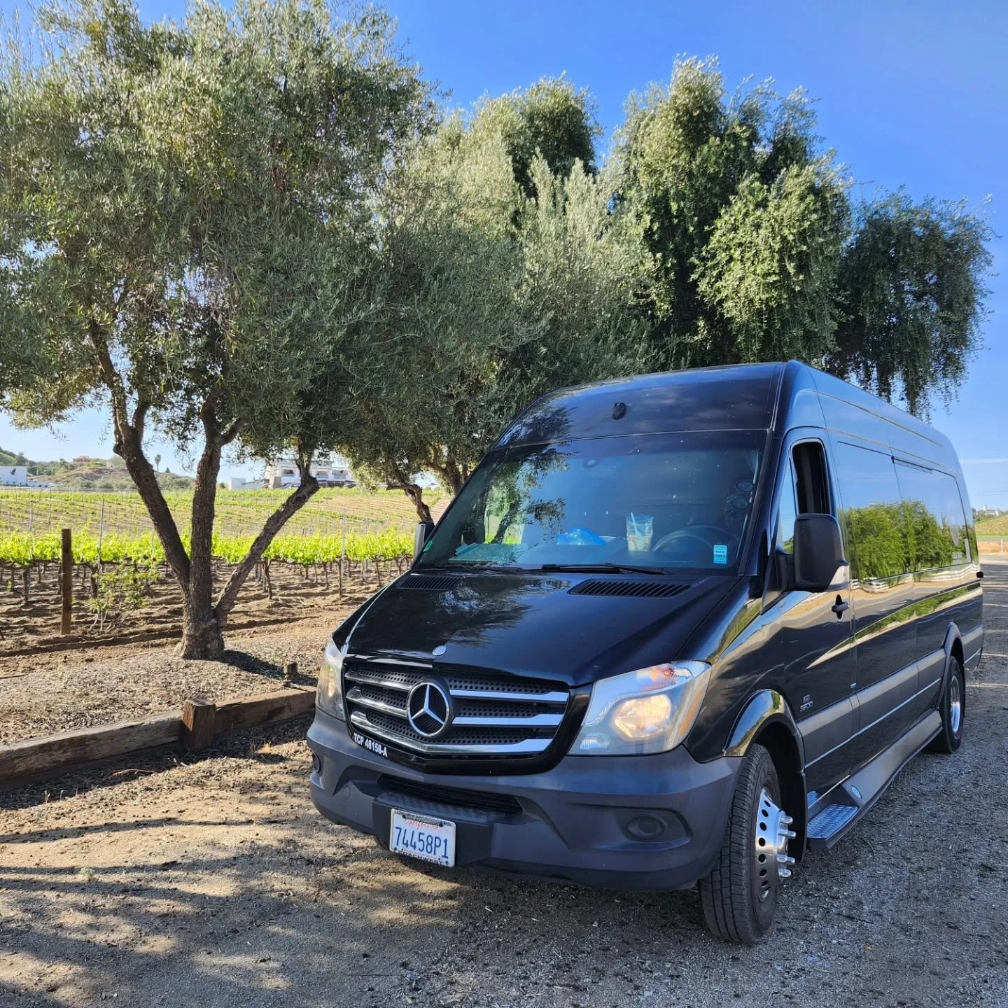 Wine Tour 🍷 🥂