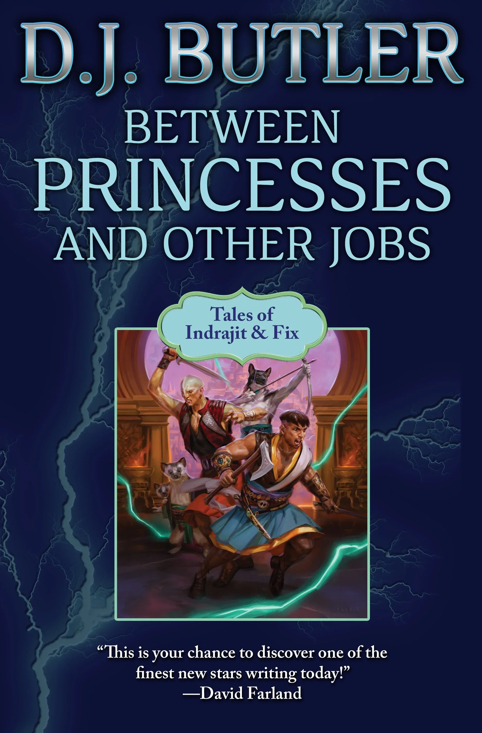 Book cover titled 'D.J. Butler: Between Princesses and Other Jobs. Tales of Indrajit & Fix.' The cover features fantasy artwork of two warriors, a man and a woman, surrounded by wolves, wielding weapons, with a background of a mystical palace and lightning.