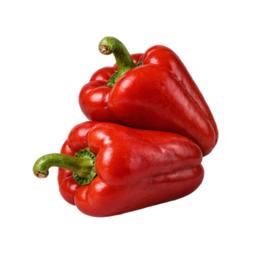 Capsicum