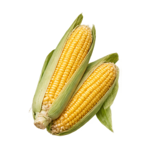 Corn