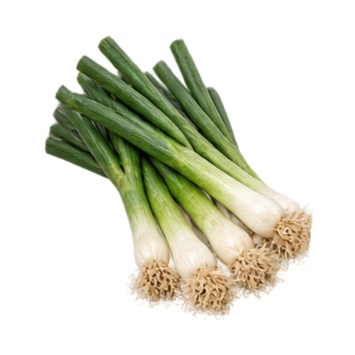 Spring Onion