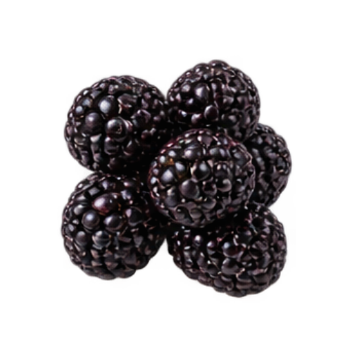 Blackberries