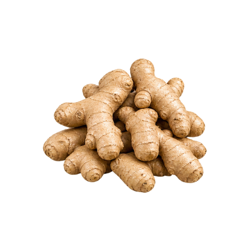 Ginger