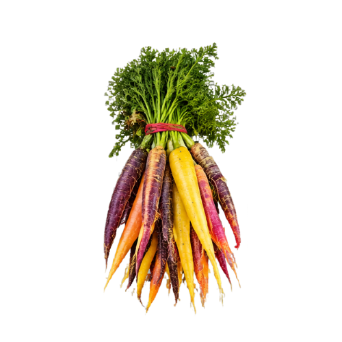 Carrot