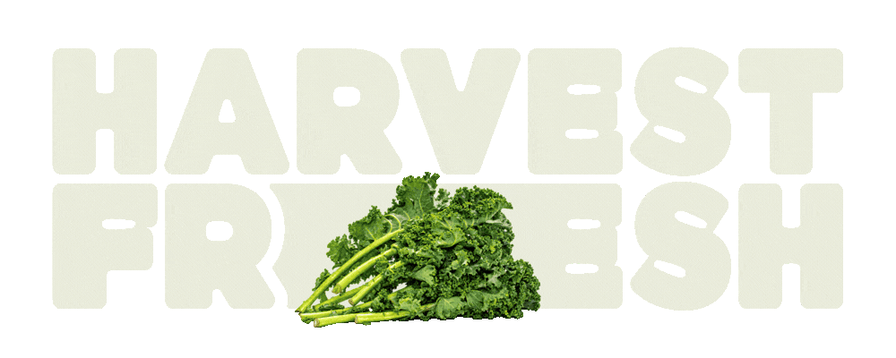 Harvest Fresh