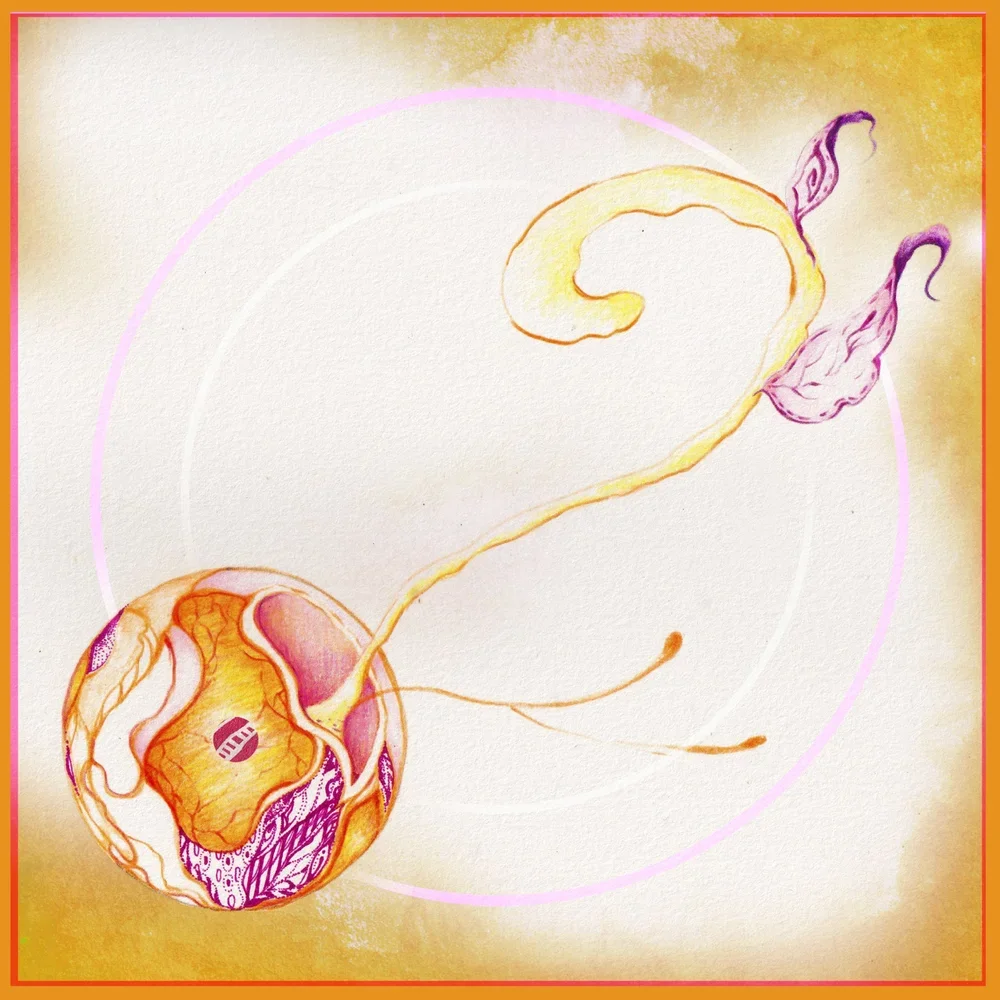 Sunflower Driveway - Track 2 on "Keys To The Sun"