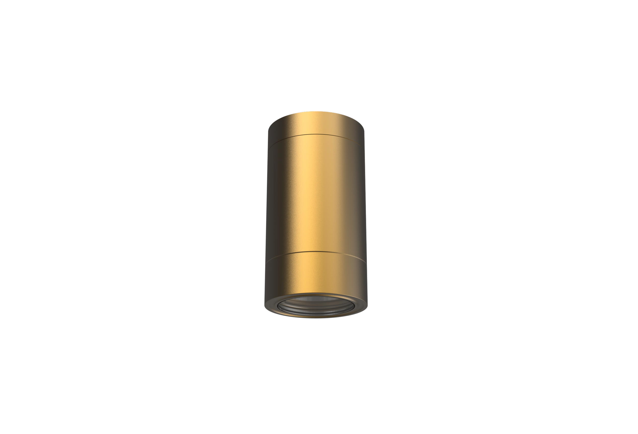 Ceiling Mount