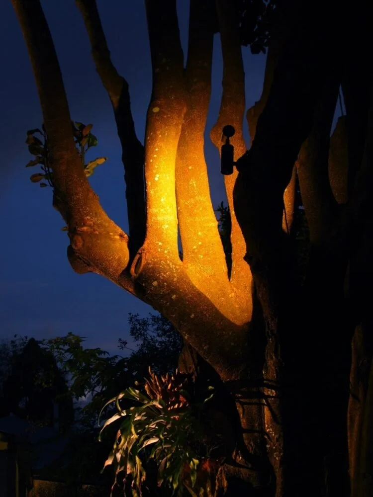 Tree Mount Light