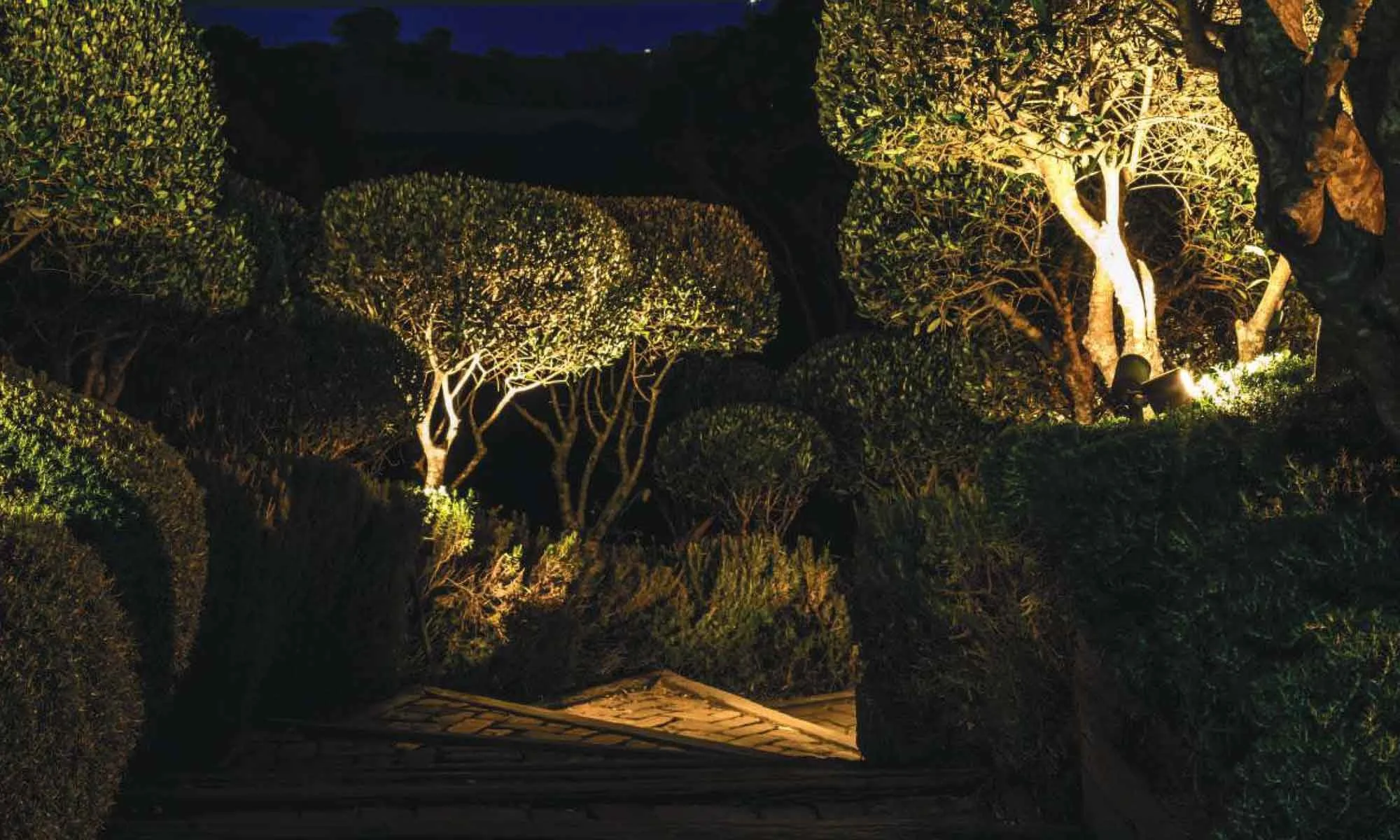 trees.jpg