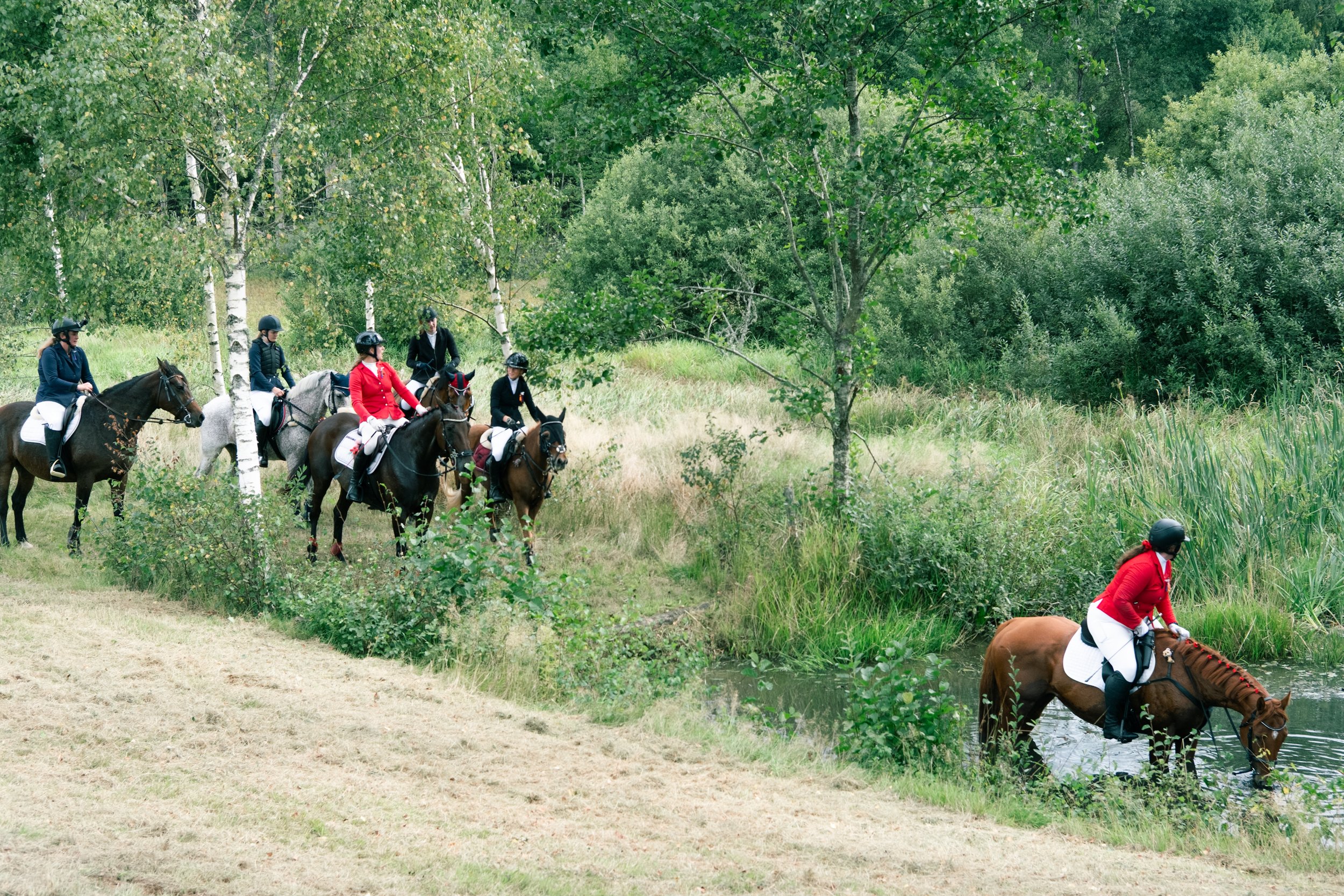 DSCF1788.jpg