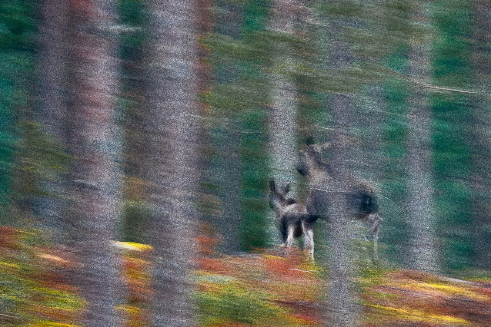 _MG_1016-Förbättrat-BR-3.jpeg
