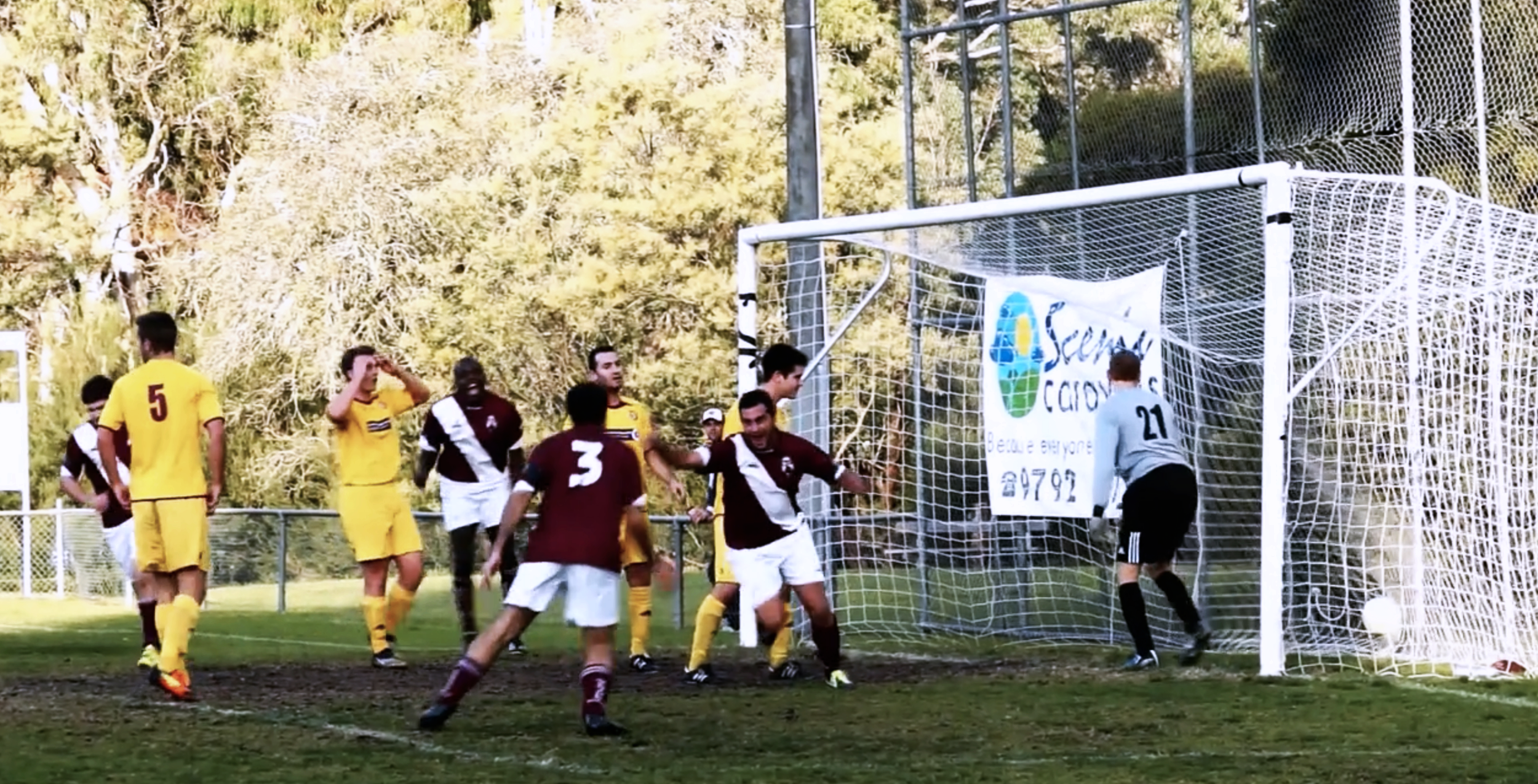 a team of soccer players celebrate kicking goal on the soccer field
