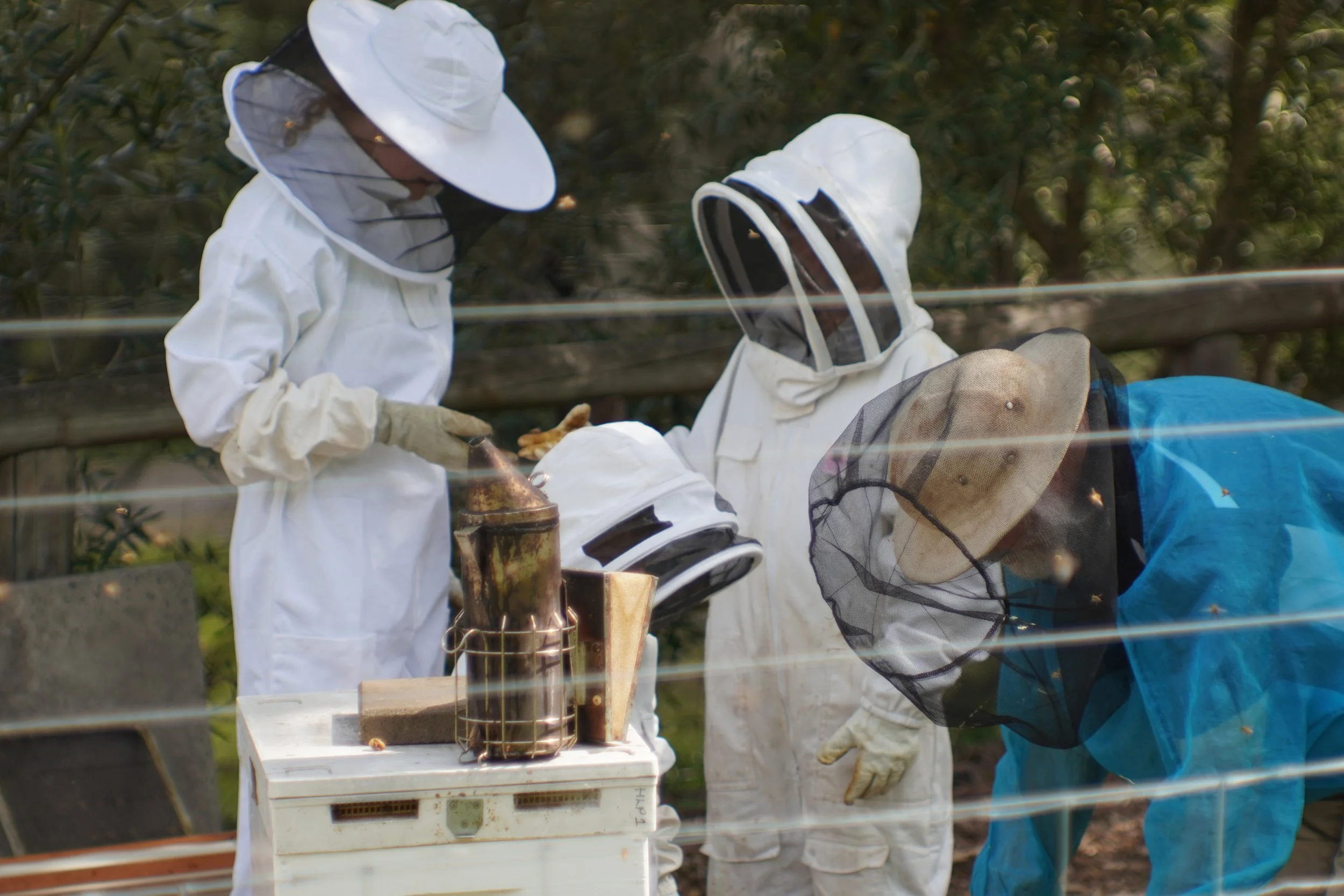 bee-keepers-geostar-productions.png