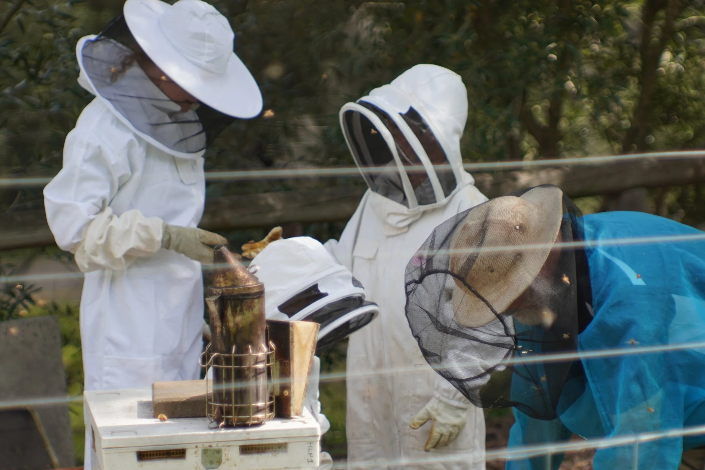 bee-keepers-geostar-productions.png